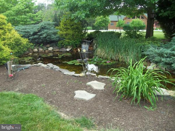 CACAPON SOUTH - Residential