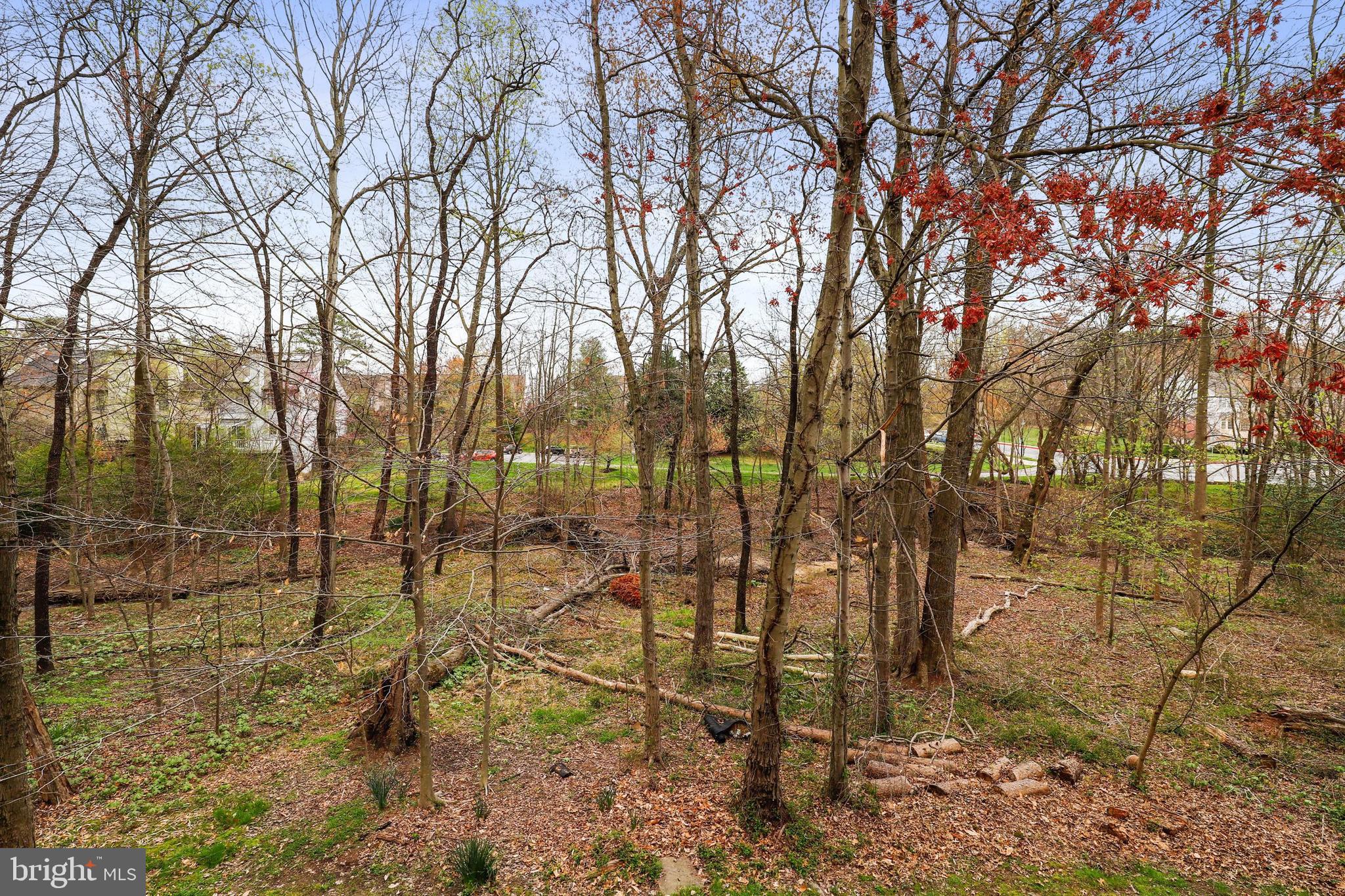 WILLOWOOD - Residential