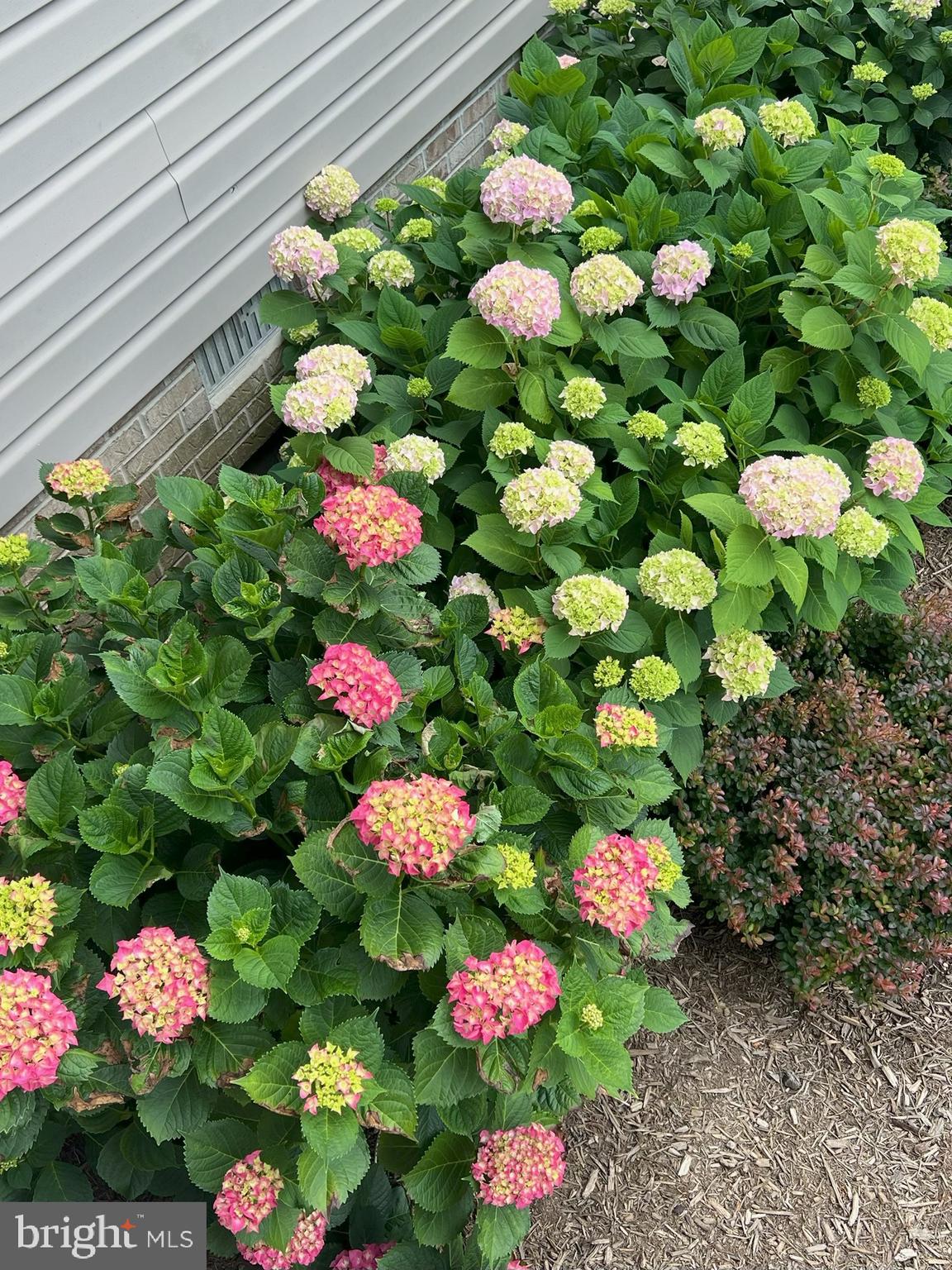 SAINT GEORGE ISLAND - Residential