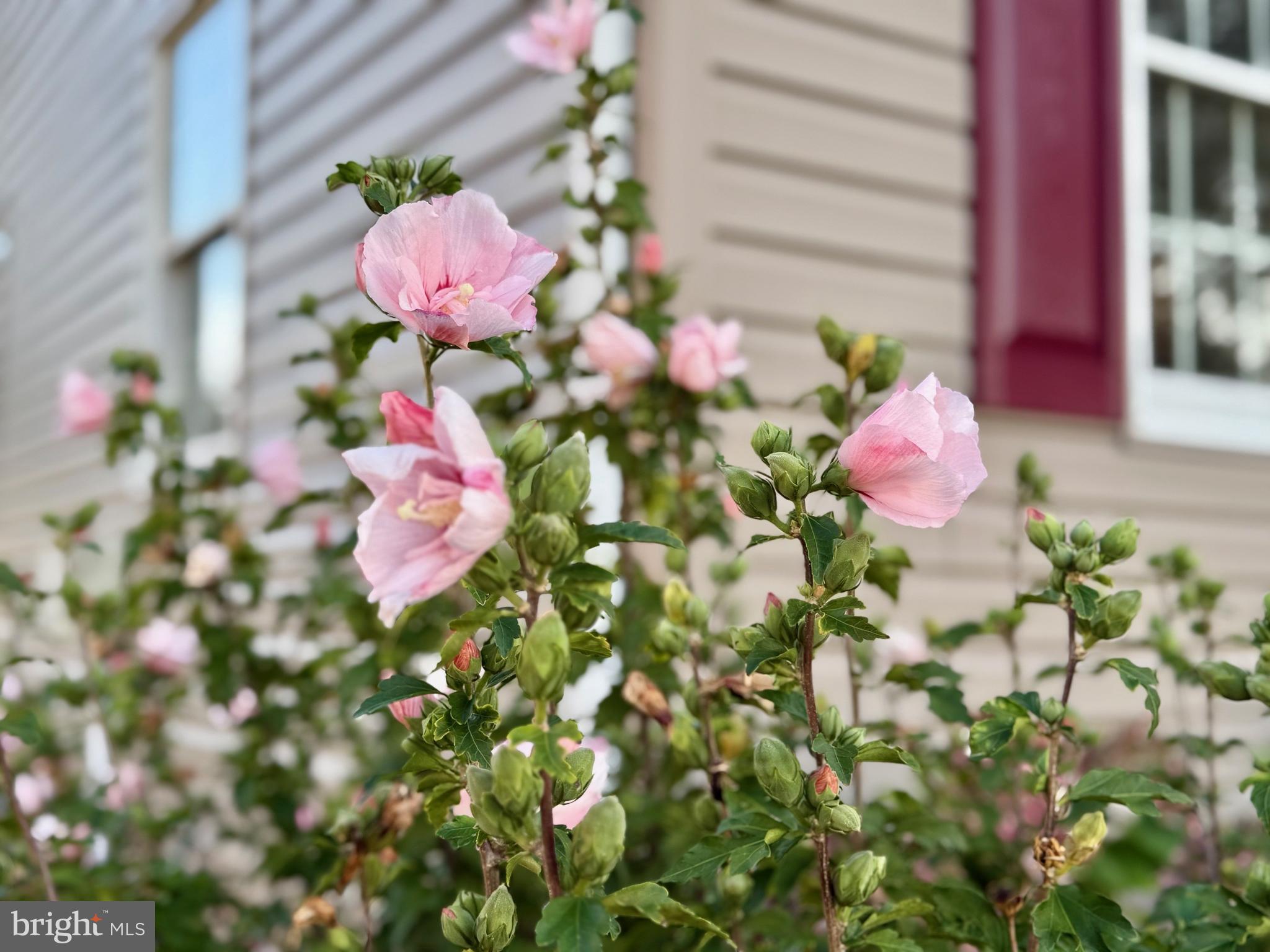 SAINT GEORGE ISLAND - Residential