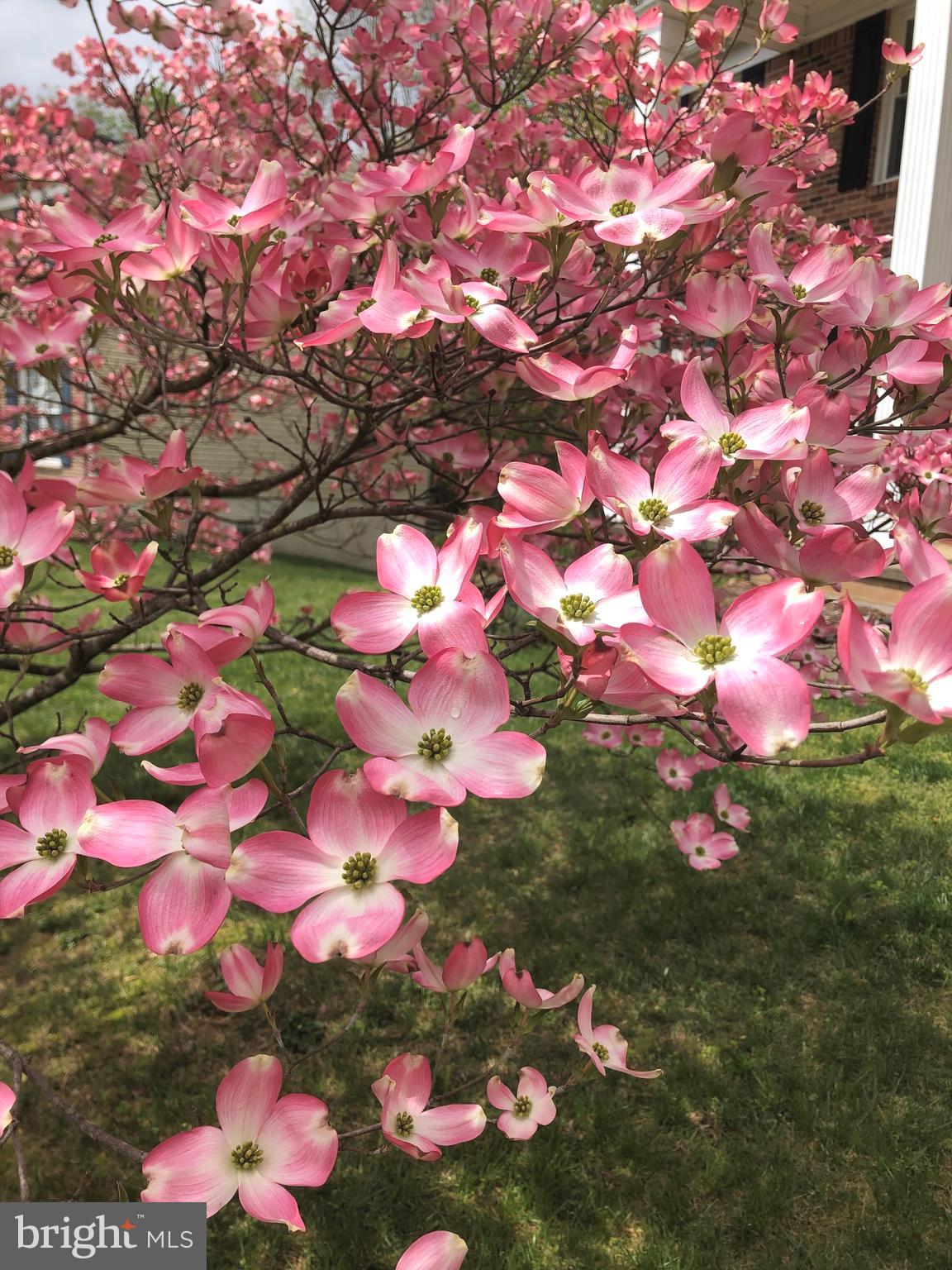 HAMPTON FOREST - Residential