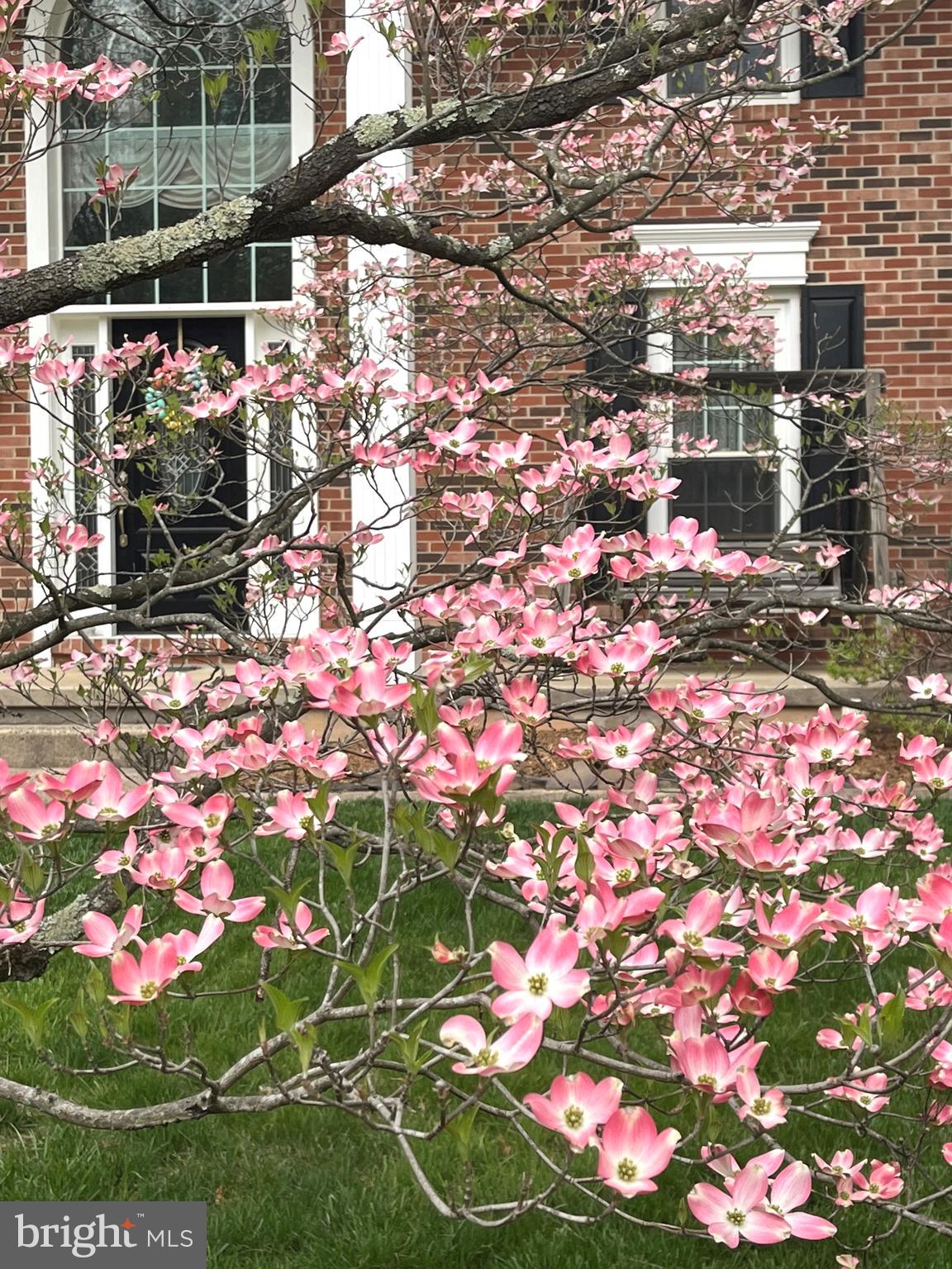 HAMPTON FOREST - Residential