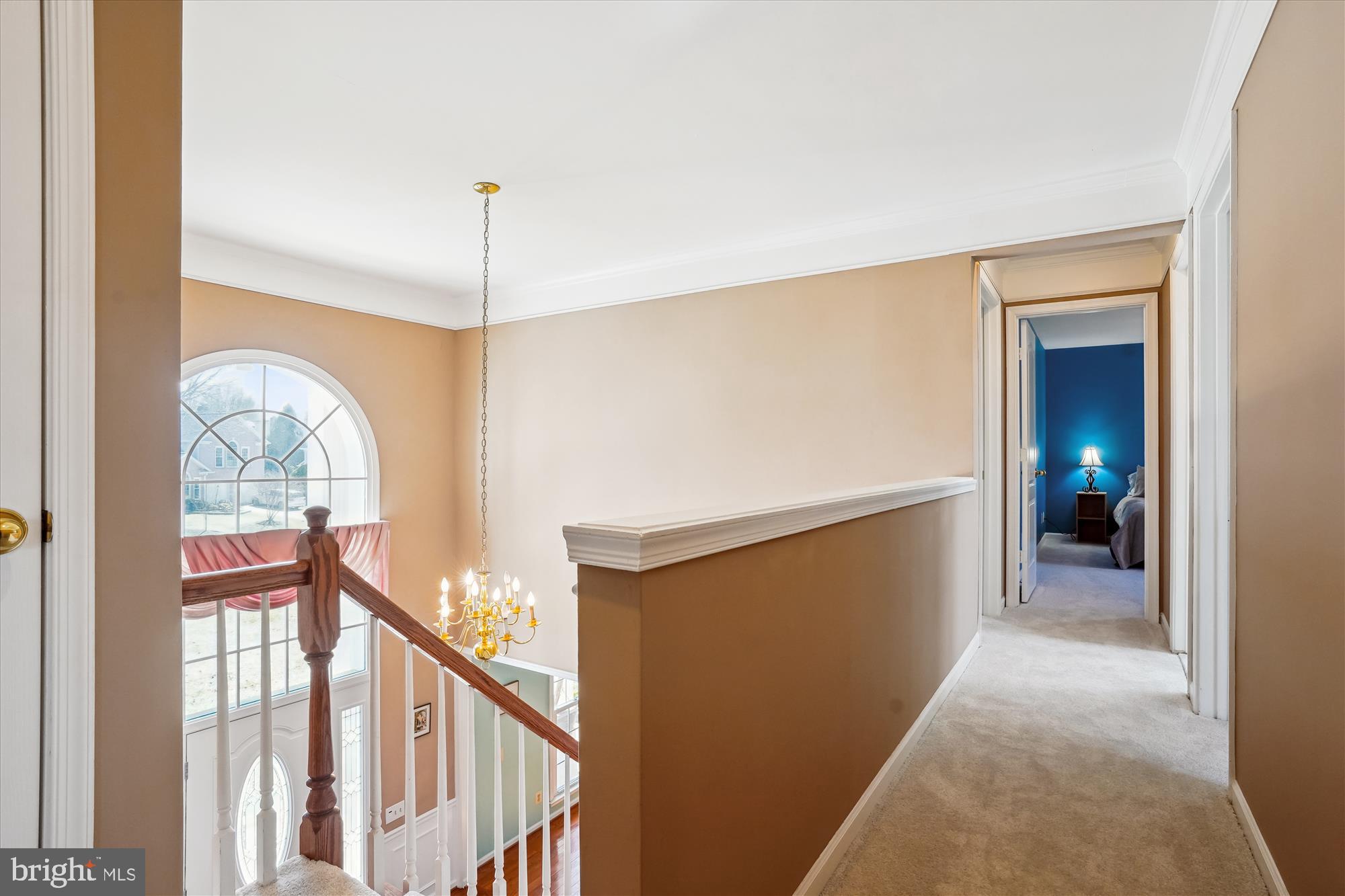 HAMPTON FOREST - Residential