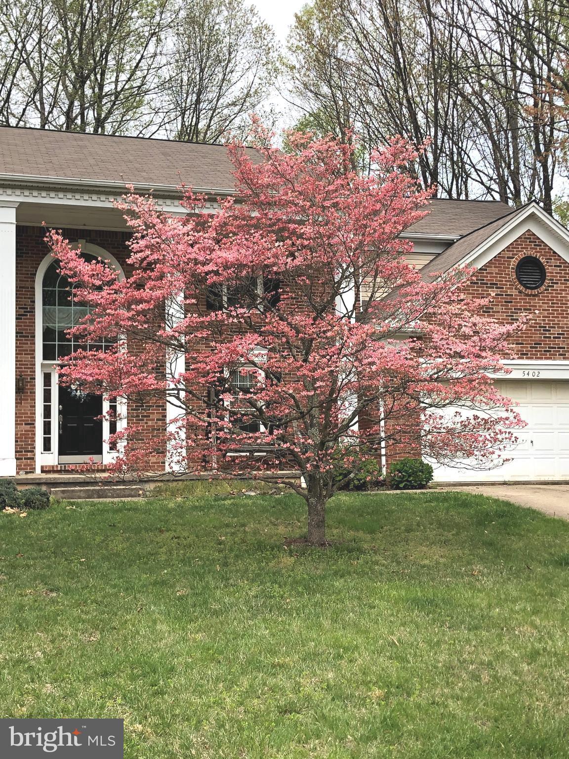 HAMPTON FOREST - Residential