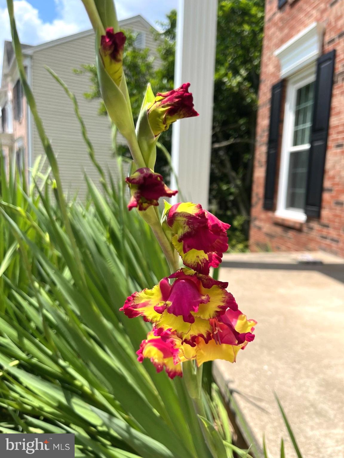 HAMPTON FOREST - Residential