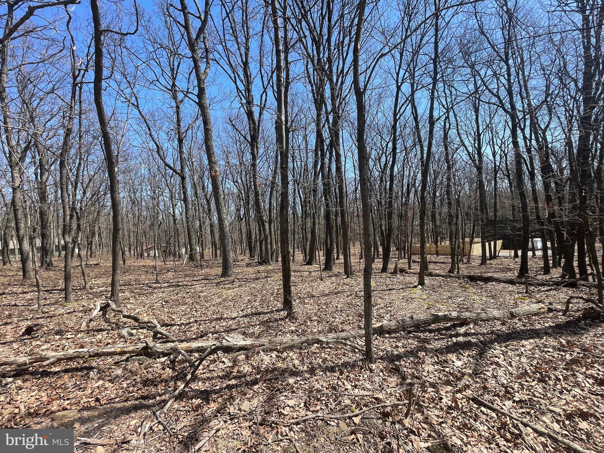 LET'S BUILD YOUR DREAM HOME on this .6 acre level lot in the COVE VILLAGE COMMUNITY! Whether you've been imagining building a second home or just waiting to build that forever home, WAIT NO MORE! The Cove Village Community is situated in the foothills of the Poconos and only 1 1/2 hours to New York, With easy access to I-81 your commute to Hazleton, Wilkes Barre, or Scranton is a breeze. Bring your own builder and let's get started. Another cost-saving perc of the community is having public water and sewer already in place and ready for you to connect through Aqua of Pa. 750 acres of unoccupied prime hunting, ATV, and snowmobile riding land surround the residential portion of Cove Village and is allocated only for the residents of the community and their guests! Driving through the community, the peace and tranquility will envelop you. At any given moment the deer, turkey, and birds will entertain you in your own backyard. Homes within the community vary from rustic cabins and chalets to traditional ranch or two-story homes and even exquisite new construction or dreamy mountain log homes. There really is something for everyone. The approximately 278 acres of residential homes and lots are occupied by full-time residents, part-time vacation homes, and even some snowbird second homes. Cove Village offers an abundance of amenities including a swimming pool, stocked fishing lake, a basketball court, tennis courts, a volleyball court, 2 playgrounds, a baseball field, ATV paths, hunting, a mini golf course, walking paths, and year-round Community events. I can't forget to mention the beautiful lodge ideal to rent for family gatherings. This lot and community just might be exactly what you've been looking for. Air B and B are not permitted. Camping on vacant lots is not permitted. Mobile homes are not permitted. The minimum square footage when building is 1400 square feet. The community maintains the roads and snow removal. Trash collection is also provided. An appointment is required to view due to the gated community. Call to schedule your tour today!