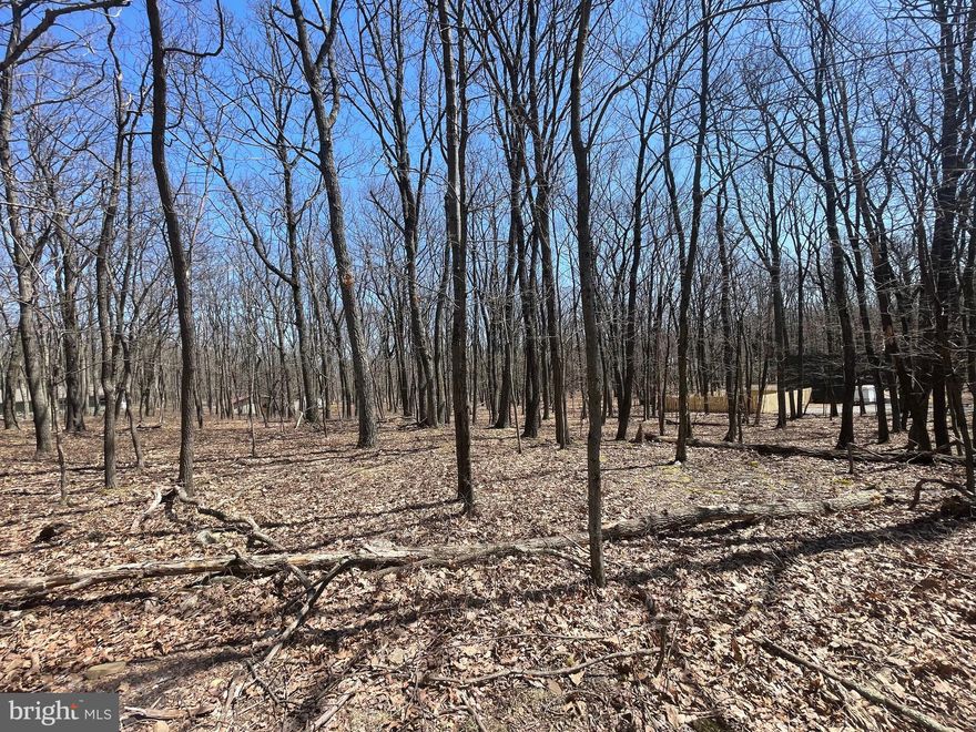 LET'S BUILD YOUR DREAM HOME on this .6 acre level lot in the COVE VILLAGE COMMUNITY!  Whether you've been imagining building a second home or just waiting to build that forever home, WAIT NO MORE!  The Cove Village Community is situated in the foothills of the Poconos and only 1 1/2 hours to New York,  With easy access to I-81 your commute to Hazleton, Wilkes Barre, or Scranton is a breeze.  Bring your own builder and let's get started.   Another cost-saving perc of the community is having public water and sewer already in place and ready for you to connect through Aqua of Pa.   750 acres of unoccupied prime hunting, ATV, and snowmobile riding land surround the residential portion of Cove Village and is allocated only for the residents of the community and their guests!  Driving through the community, the peace and tranquility will envelop you.  At any given moment the deer, turkey, and birds will entertain you in your own backyard.   Homes within the community vary from rustic cabins and chalets to traditional ranch or two-story homes and even exquisite new construction or dreamy mountain log homes.  There really is something for everyone.  The approximately 278 acres of residential homes and lots are occupied by full-time residents, part-time vacation homes, and even some snowbird second homes.  Cove Village offers an abundance of amenities including a swimming pool, stocked fishing lake, a basketball court, tennis courts, a volleyball court, 2 playgrounds, a baseball field, ATV paths, hunting, a mini golf course, walking paths, and year-round Community events.  I can't forget to mention the beautiful lodge ideal to rent for family gatherings.   This lot and community just might be exactly what you've been looking for.  Air B and B are not permitted. Camping on vacant lots is not permitted.  Mobile homes are not permitted.  The minimum square footage when building is 1400 square feet.  The community maintains the roads and snow removal.  Trash collection is also provided.   An appointment is required to view due to the gated community.  Call to schedule your tour today!