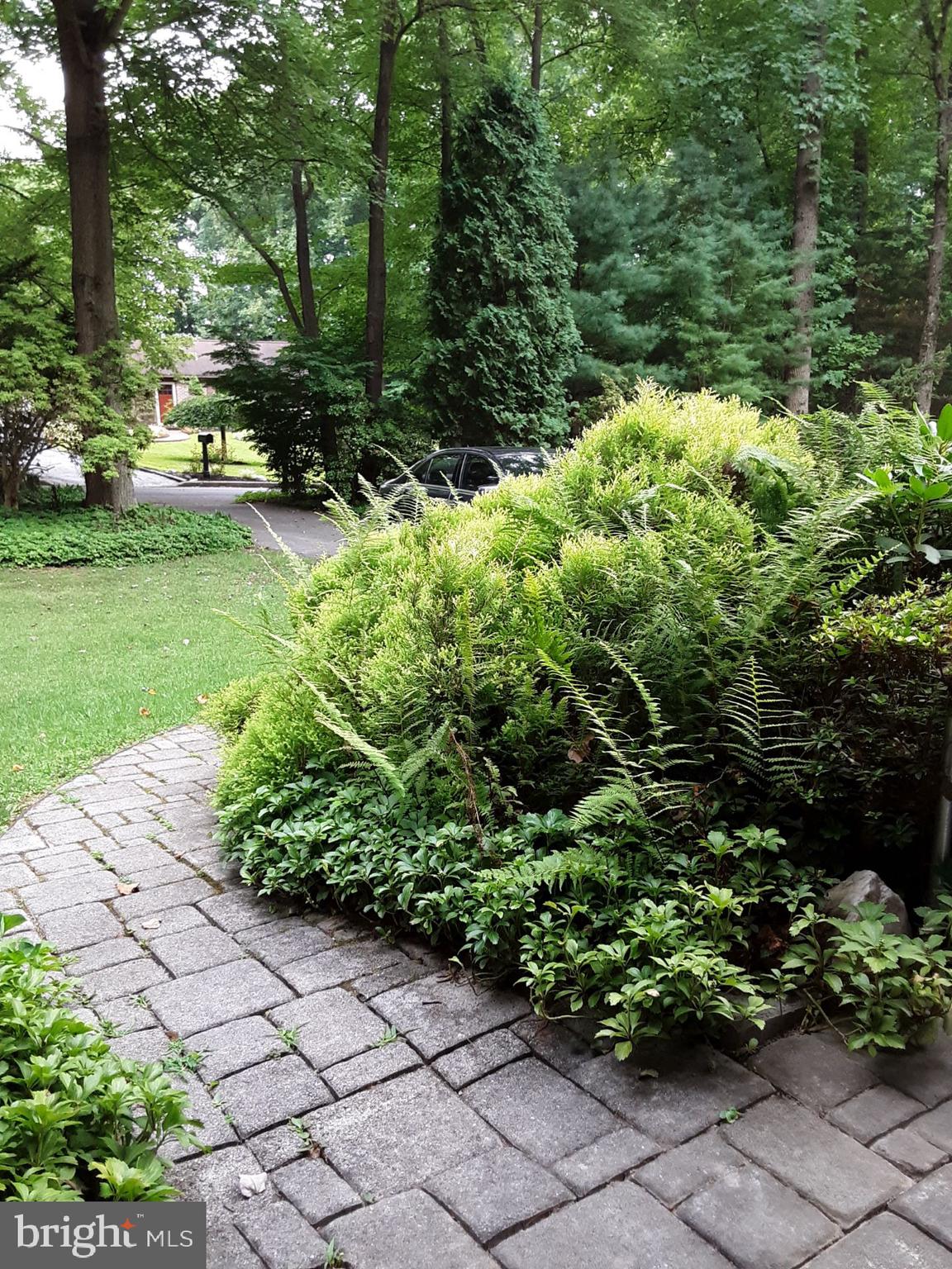 DOGWOOD ESTATES - Residential