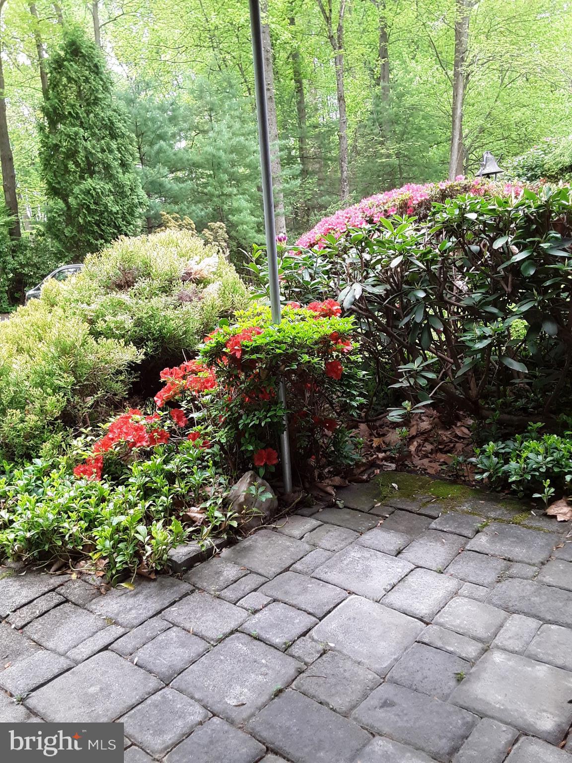 DOGWOOD ESTATES - Residential