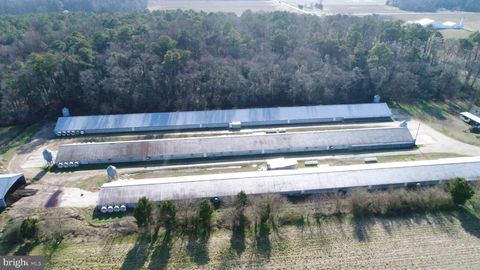 Vacant Land For Sale - 6425 Eldorado Road<br/> FEDERALSBURG, MD 21632