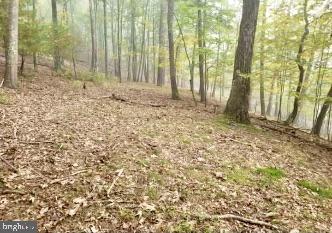Lot 11, Section 10 AUTUMN COURT