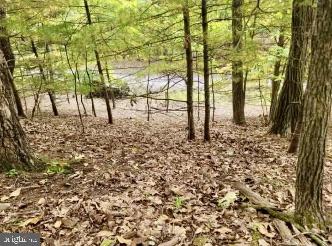 Lot 11, Section 10 AUTUMN COURT