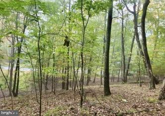 Lot 11, Section 10 AUTUMN COURT