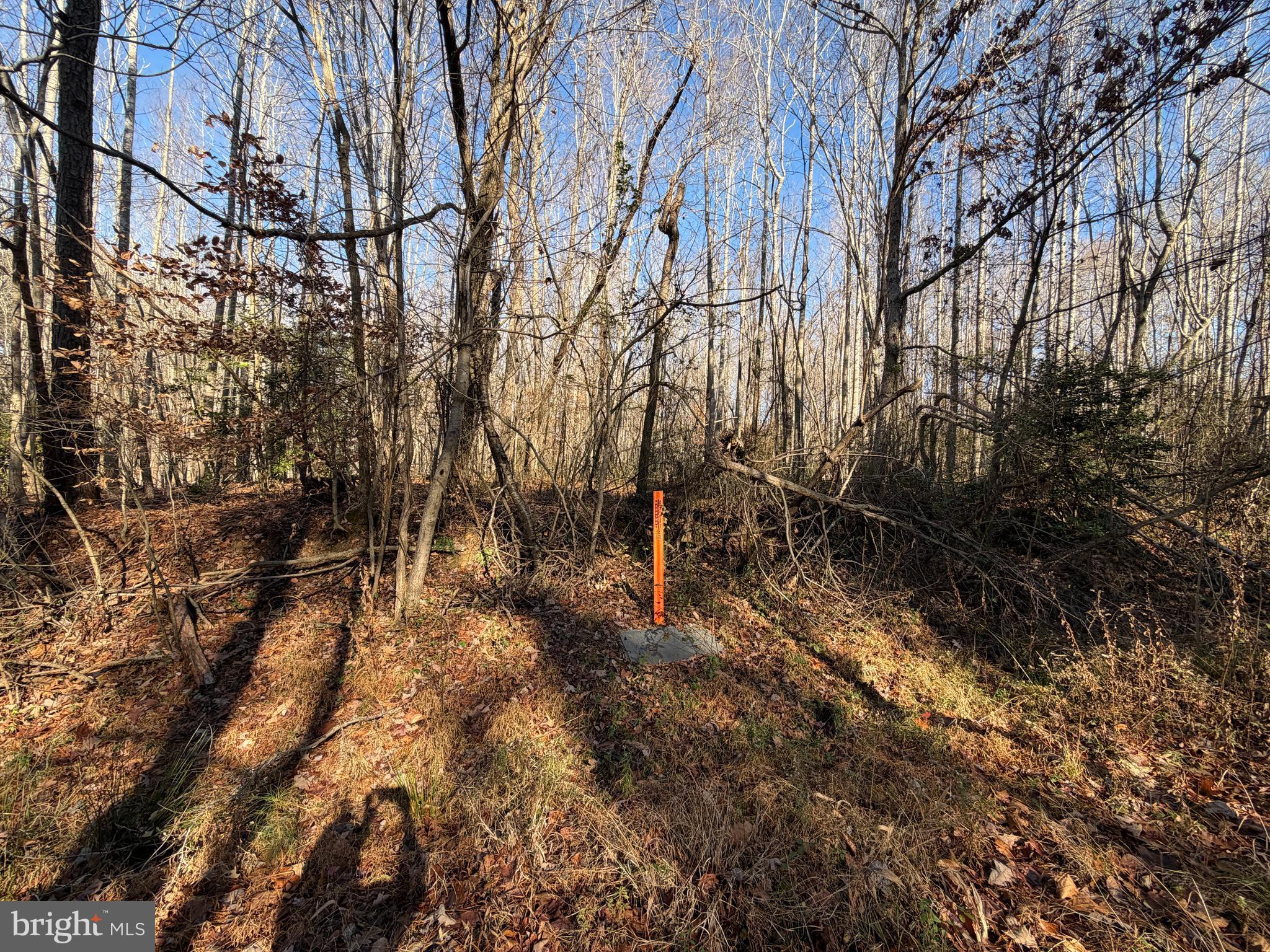 Lot 2A TURKEY ACRES RD