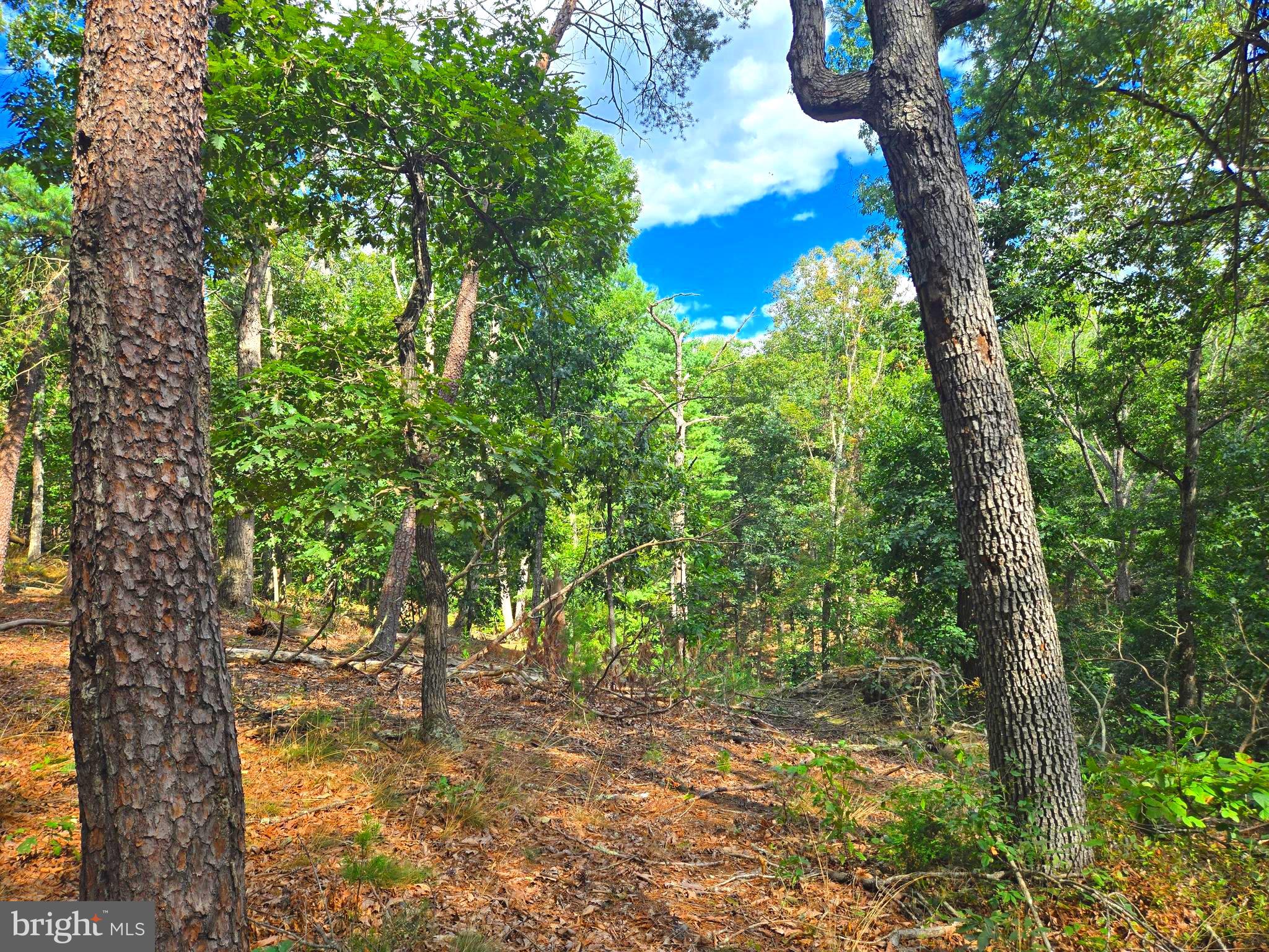 RUSHING RIVER FARMS - Land