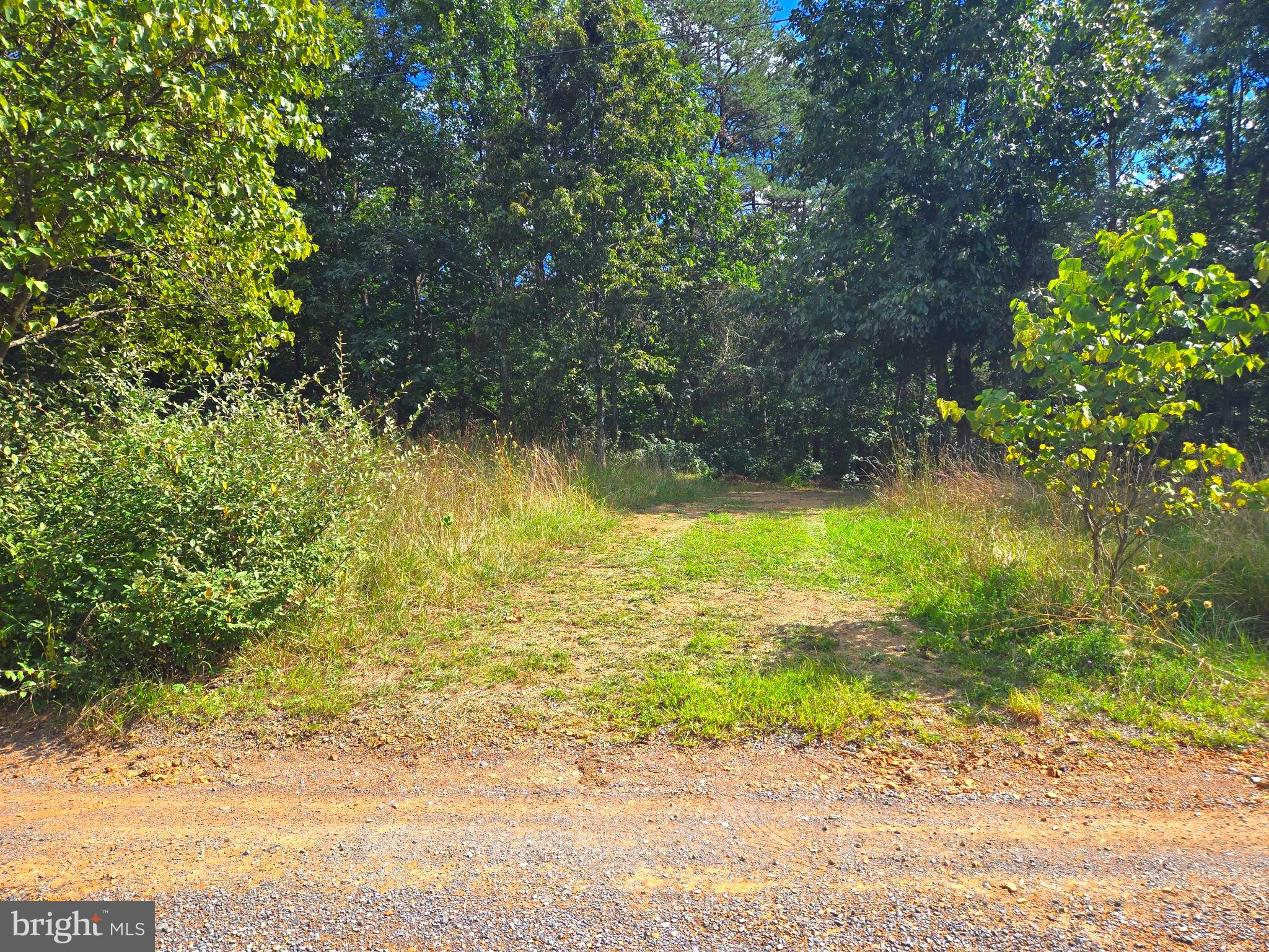 RUSHING RIVER FARMS - Land