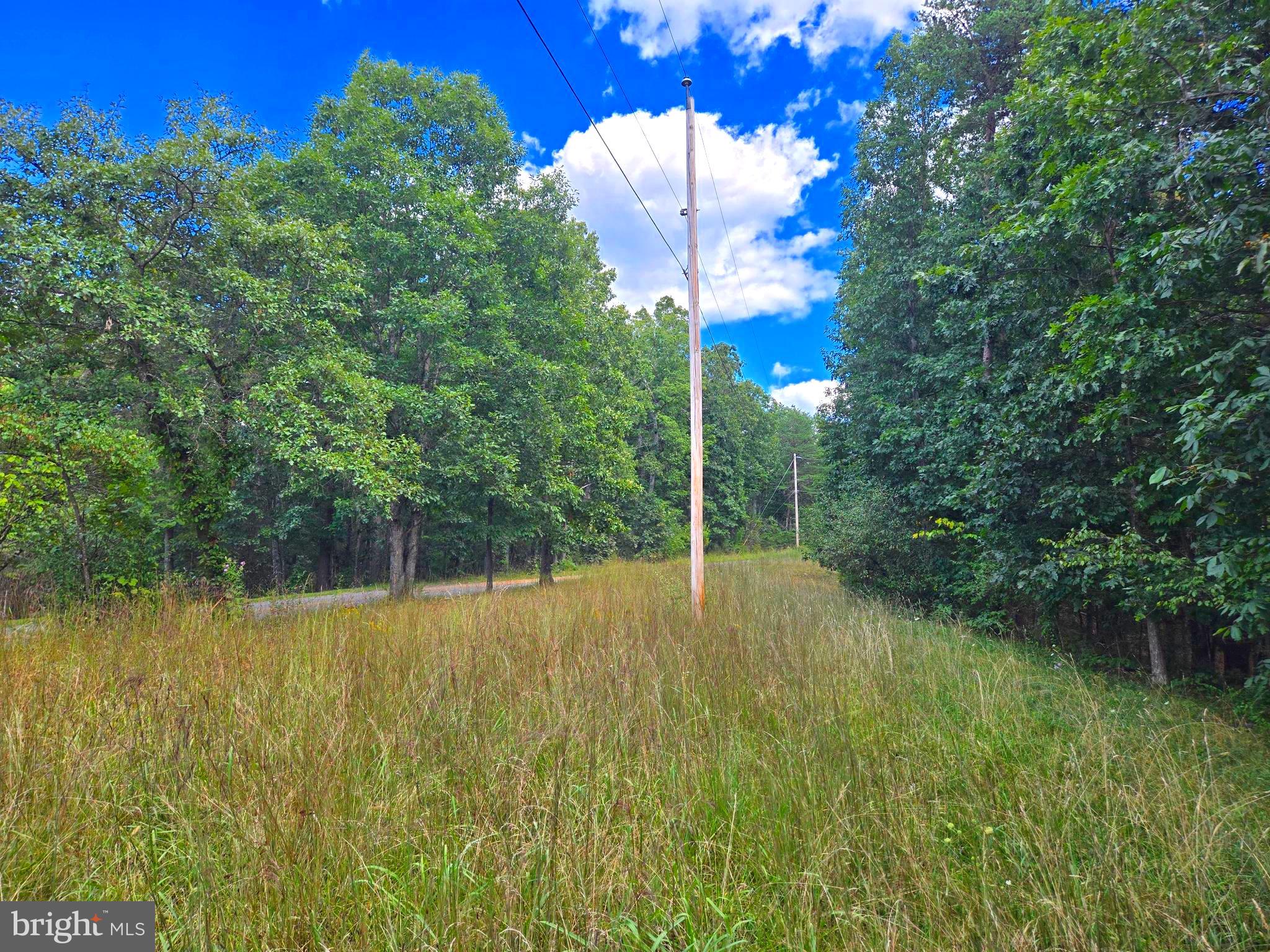 RUSHING RIVER FARMS - Land