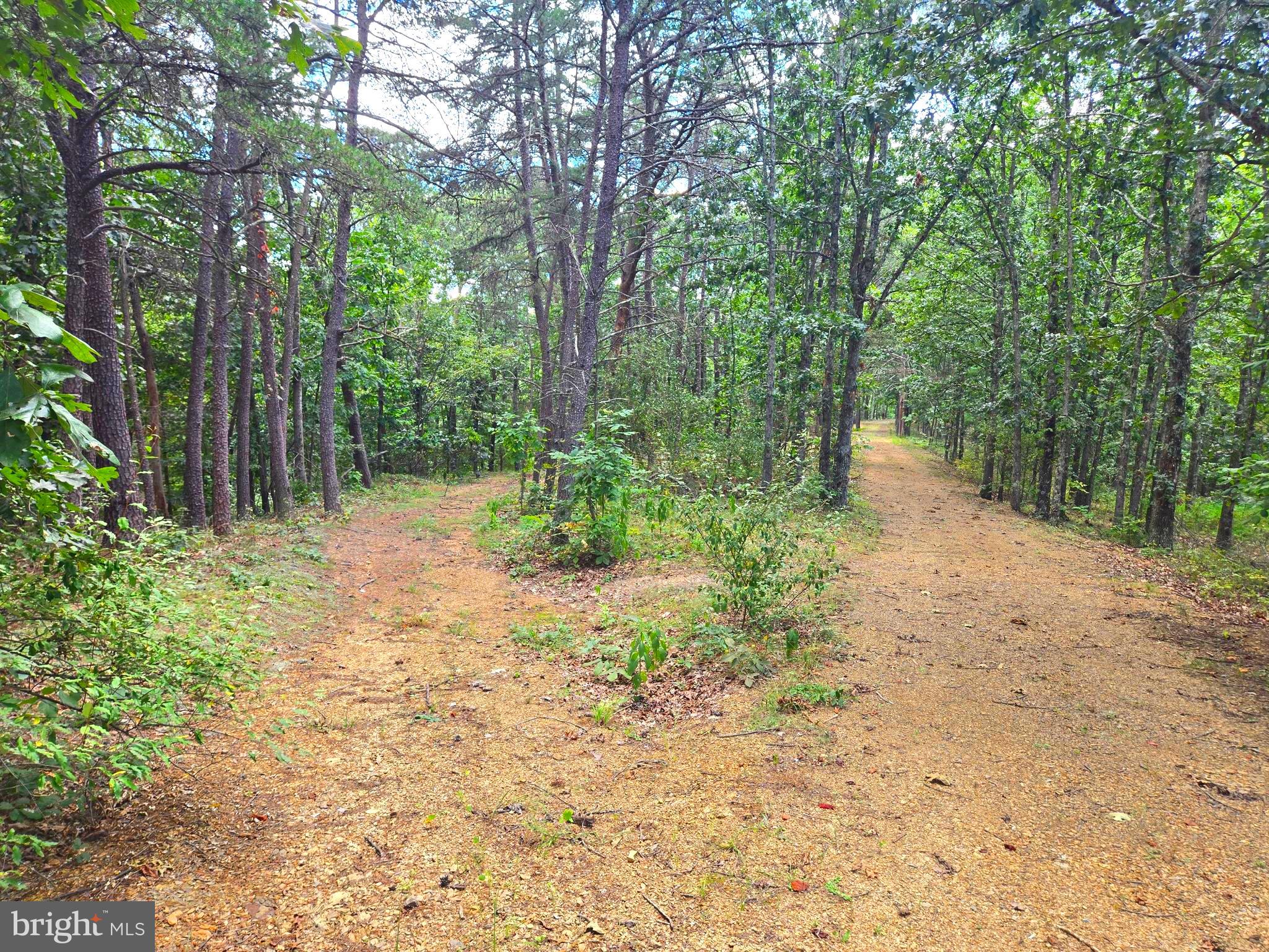 RUSHING RIVER FARMS - Land