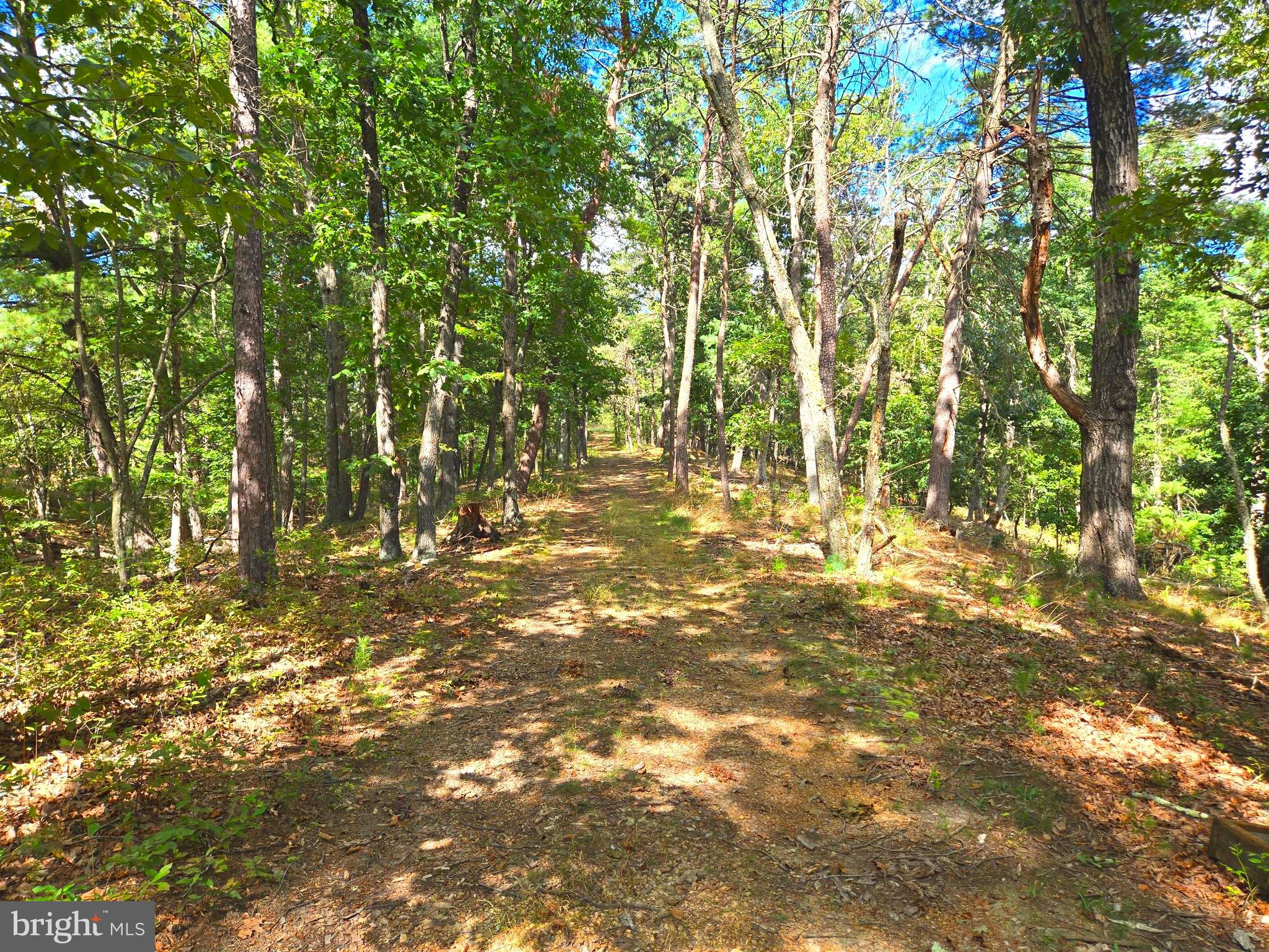 RUSHING RIVER FARMS - Land