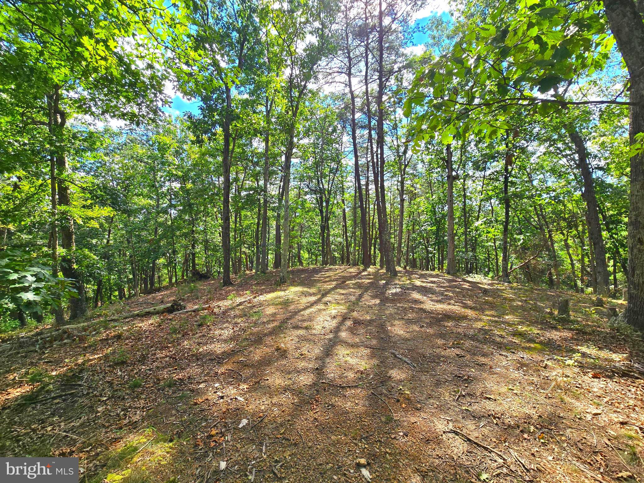 RUSHING RIVER FARMS - Land