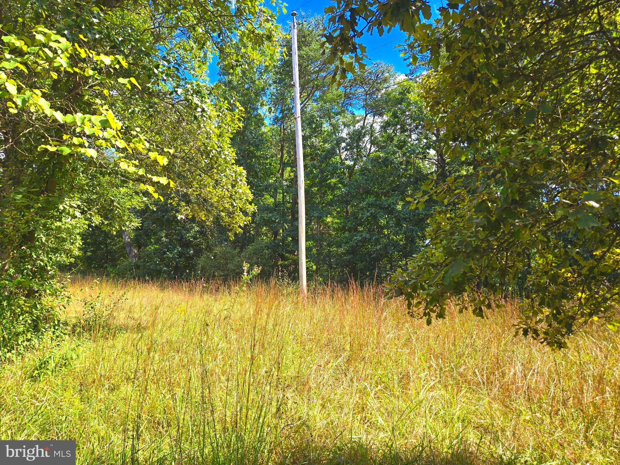 RUSHING RIVER FARMS - Land