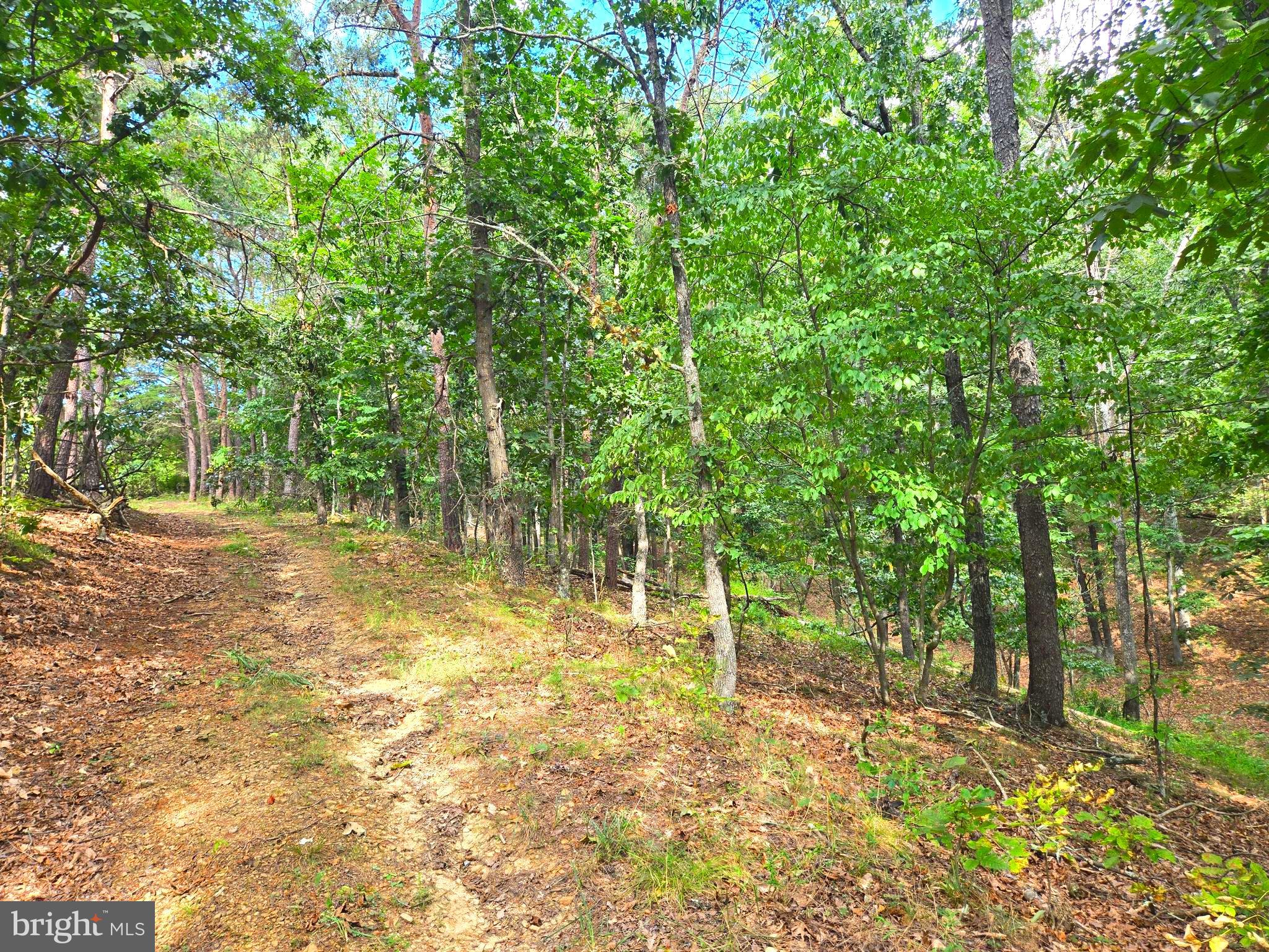 RUSHING RIVER FARMS - Land