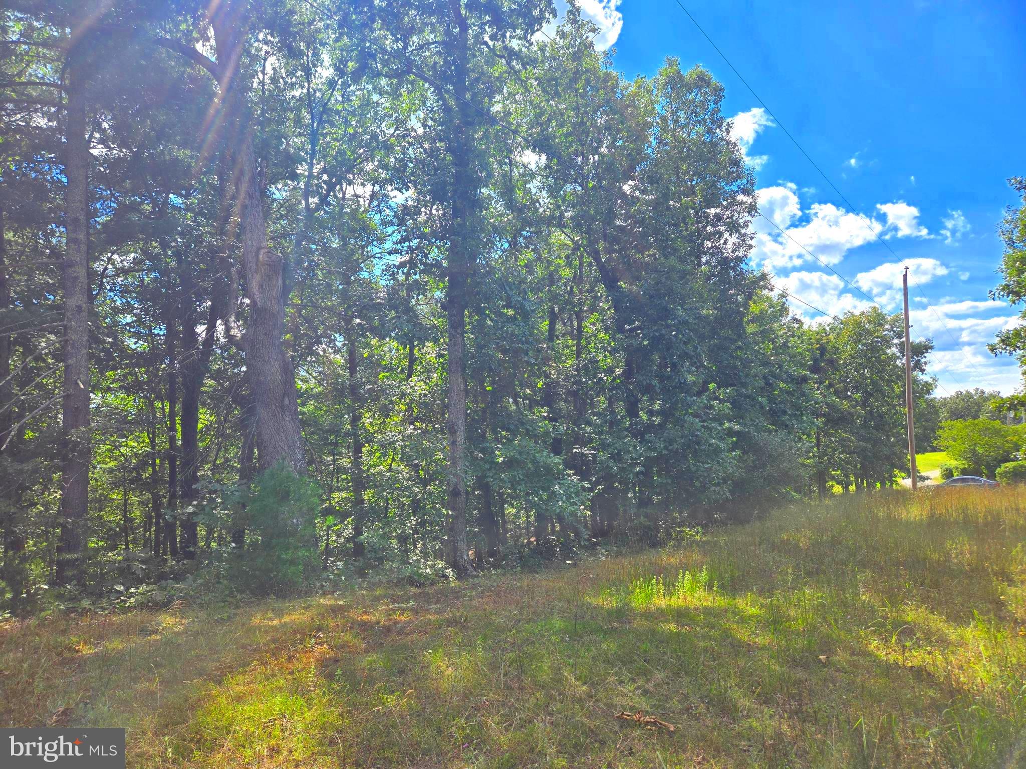 RUSHING RIVER FARMS - Land