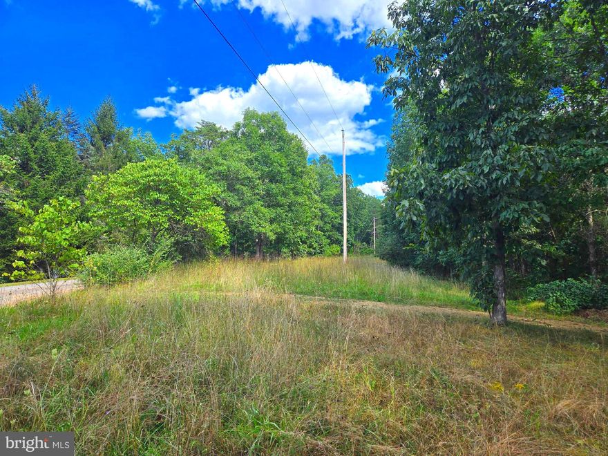 Beautiful, wooded lot, just over 5 acres! A driveway has already been cut and shaled into this lot, leading back to a large, cleared potential build site surrounded by trees. The lot is FULL of Oak, Cherry, and Hickory hardwoods. The driveway is a stunning approach to the potential build site, canopied by mature trees the whole way. Power is already on site and fiber optic internet is available! Manufactured homes allowed! IF YOU LIKE WHAT YOU SEE, CALL !!!!!!