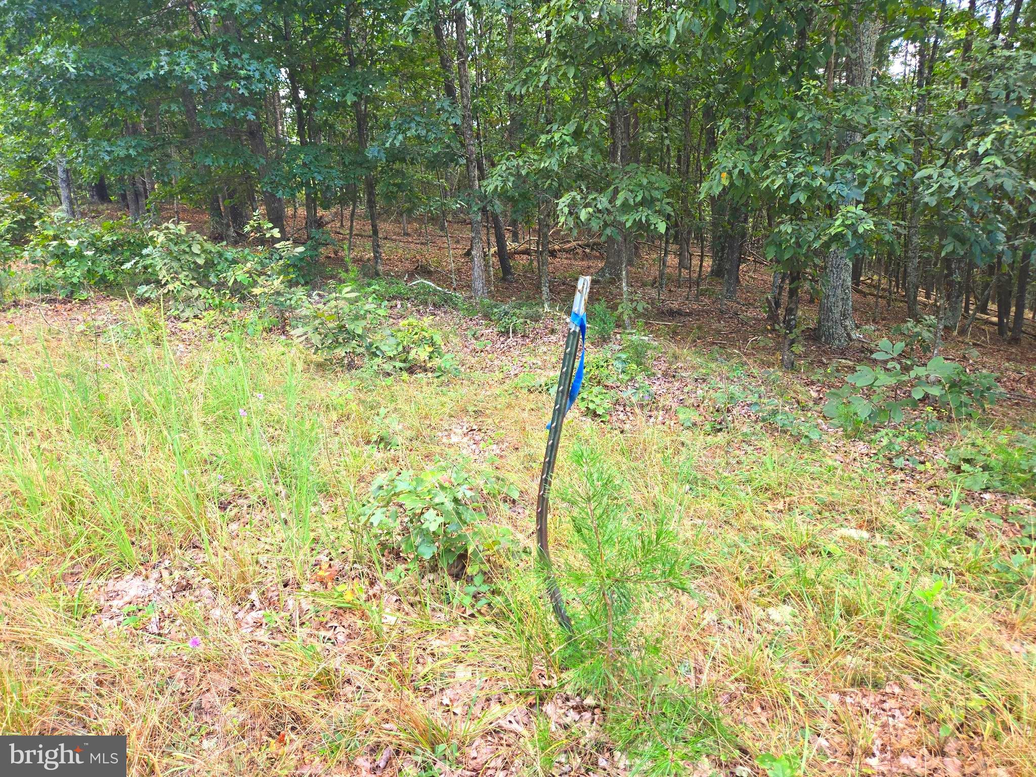 RUSHING RIVER FARMS - Land