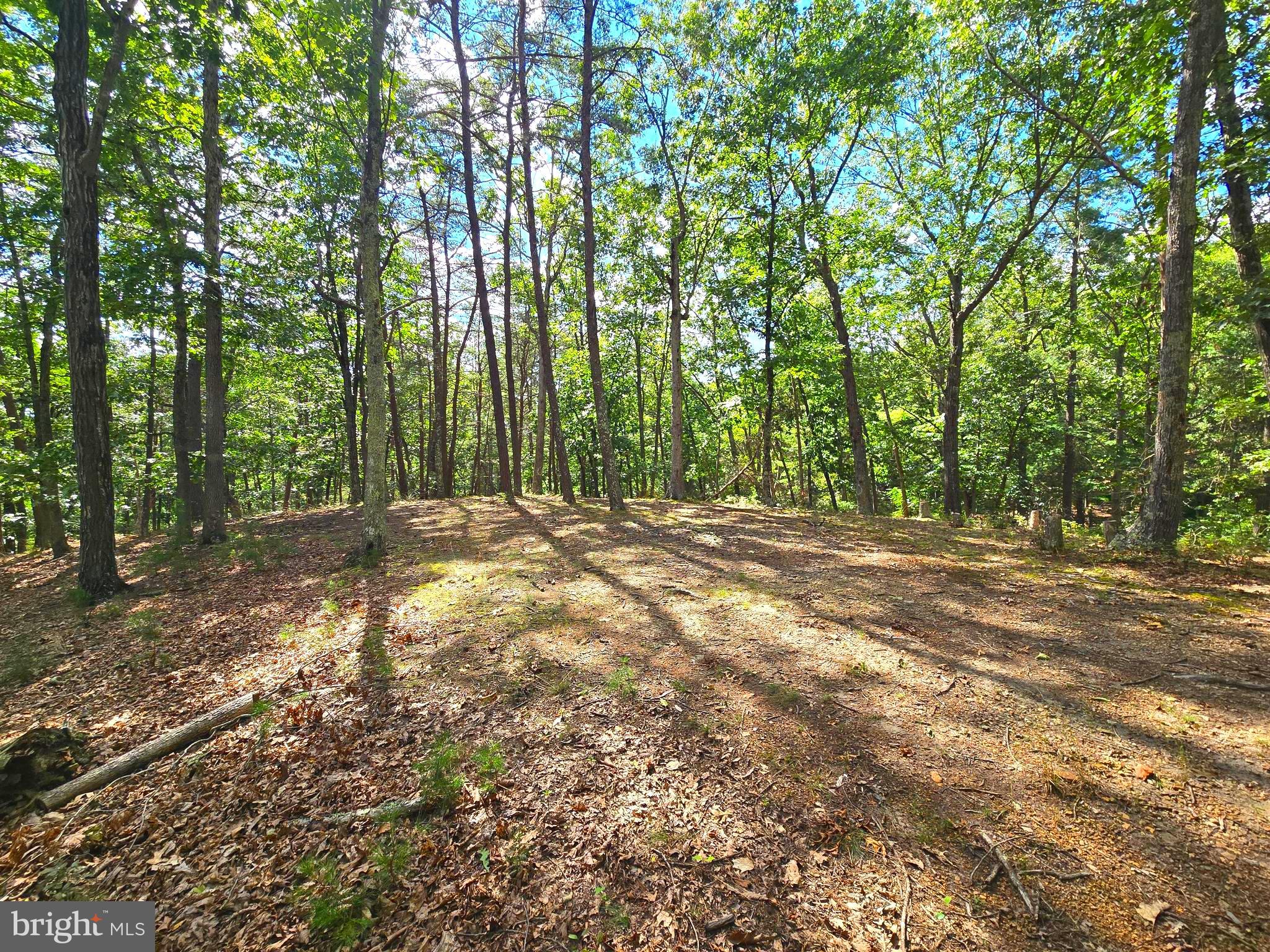 RUSHING RIVER FARMS - Land