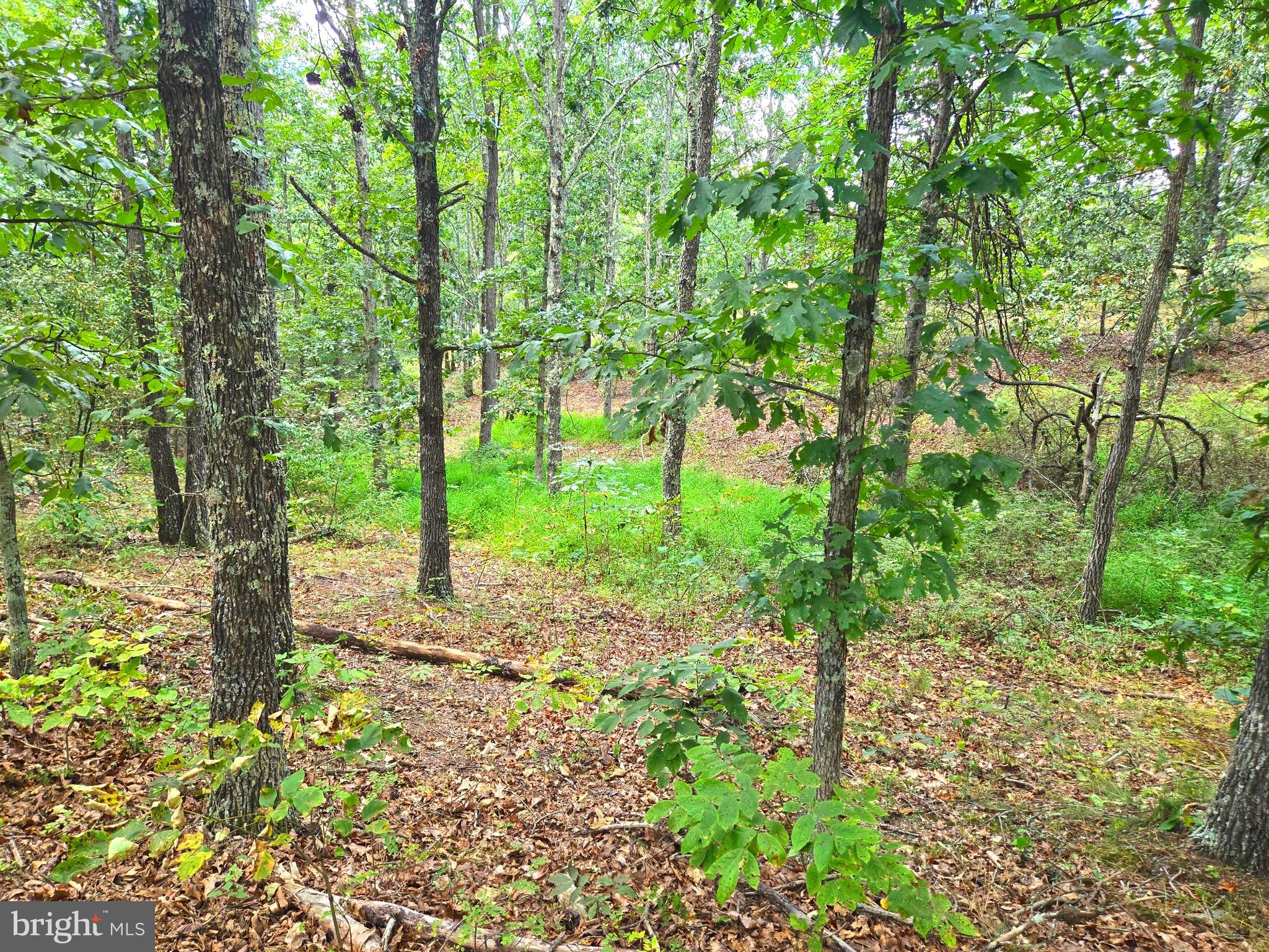 RUSHING RIVER FARMS - Land