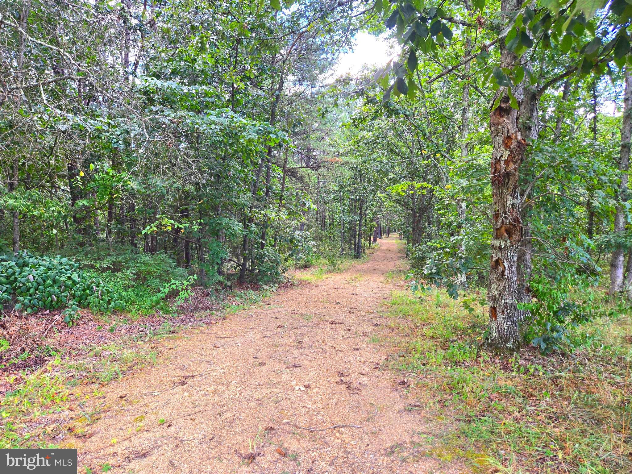 RUSHING RIVER FARMS - Land