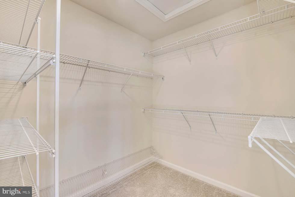 CABIN BRANCH - Residential