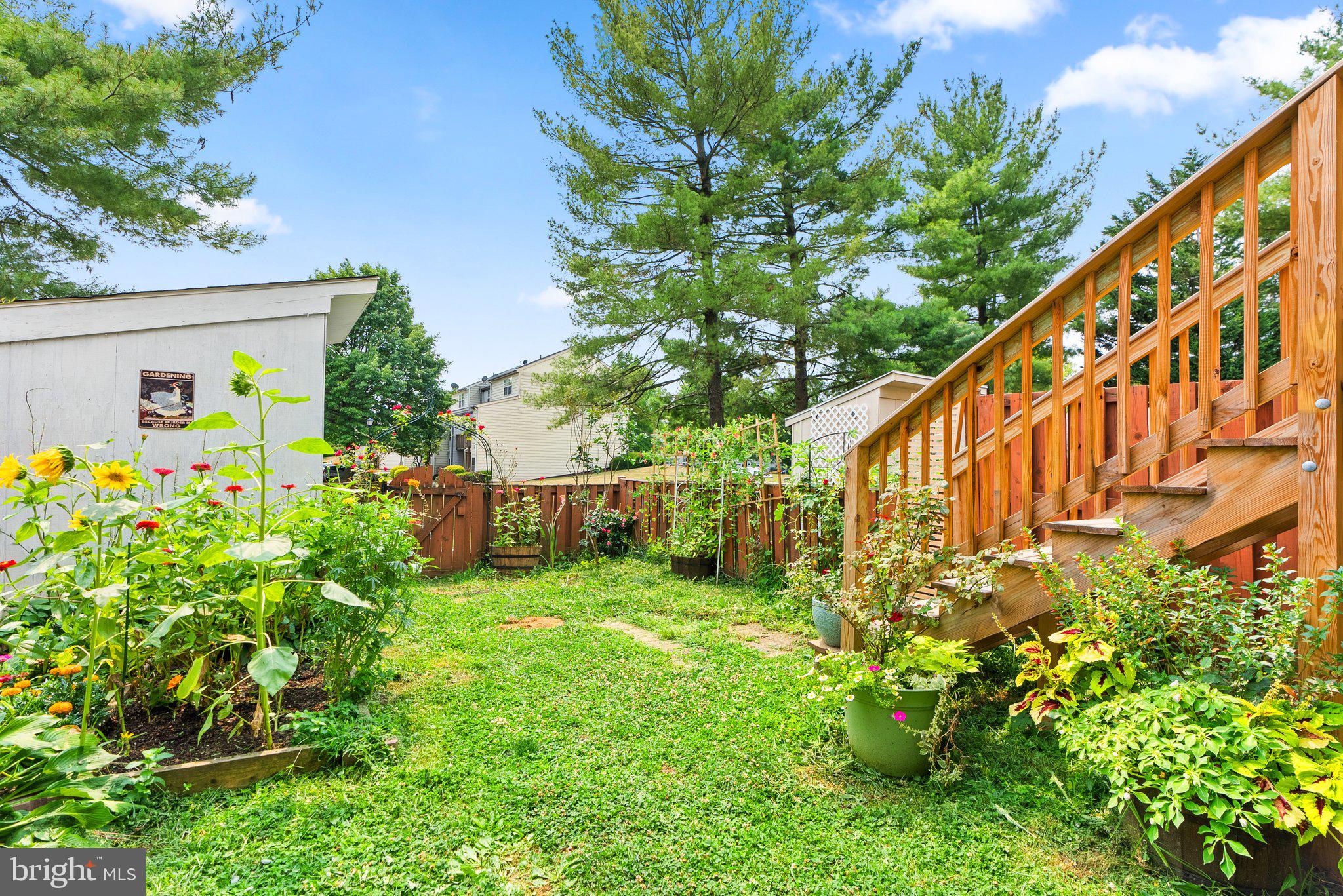 CROGHAN SQUARE - Residential Lease