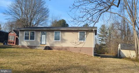 315 SHEPHERDS MILL ROAD BERRYVILLE VA 22611