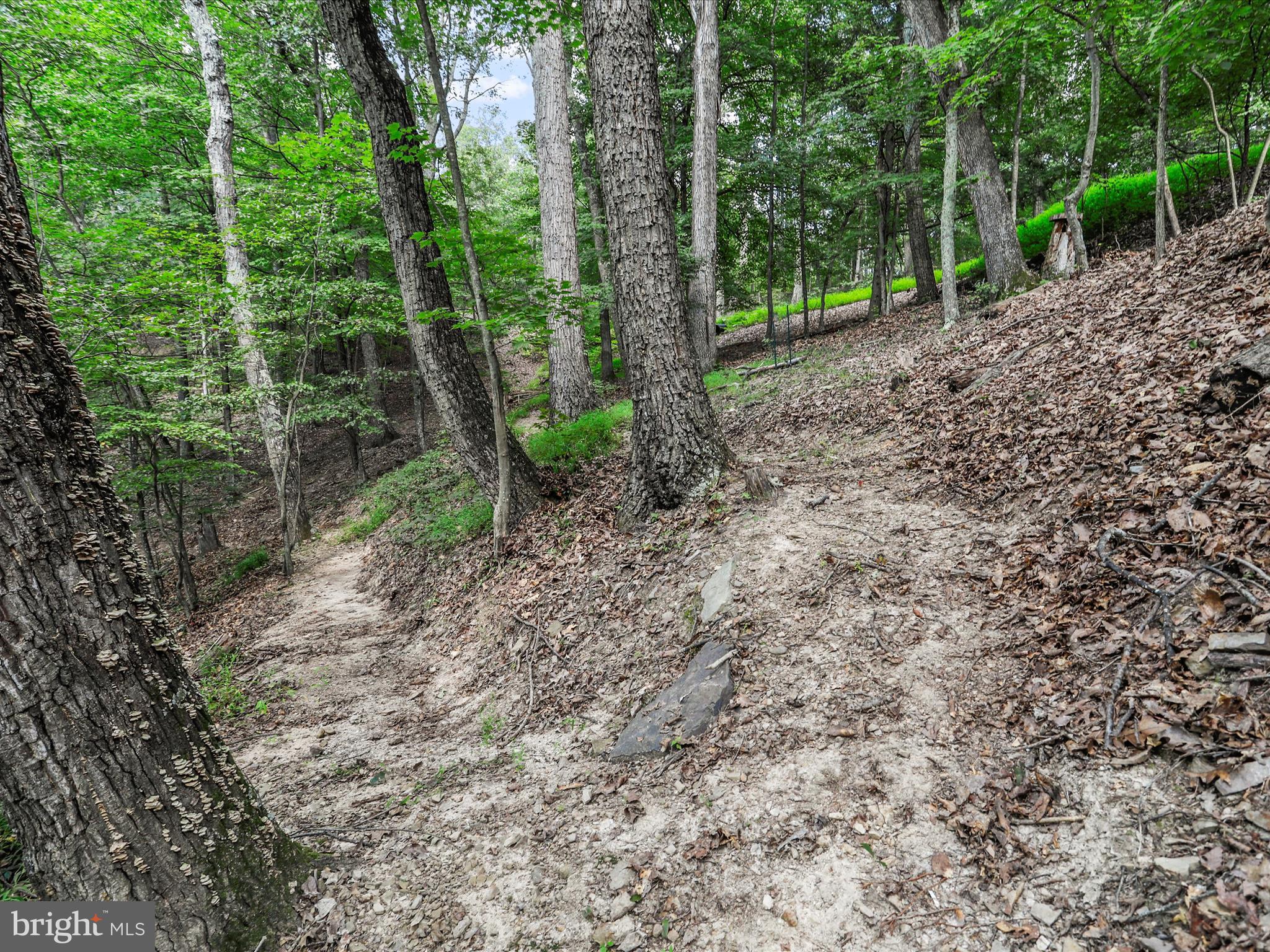 MALLARD CREEK - Residential