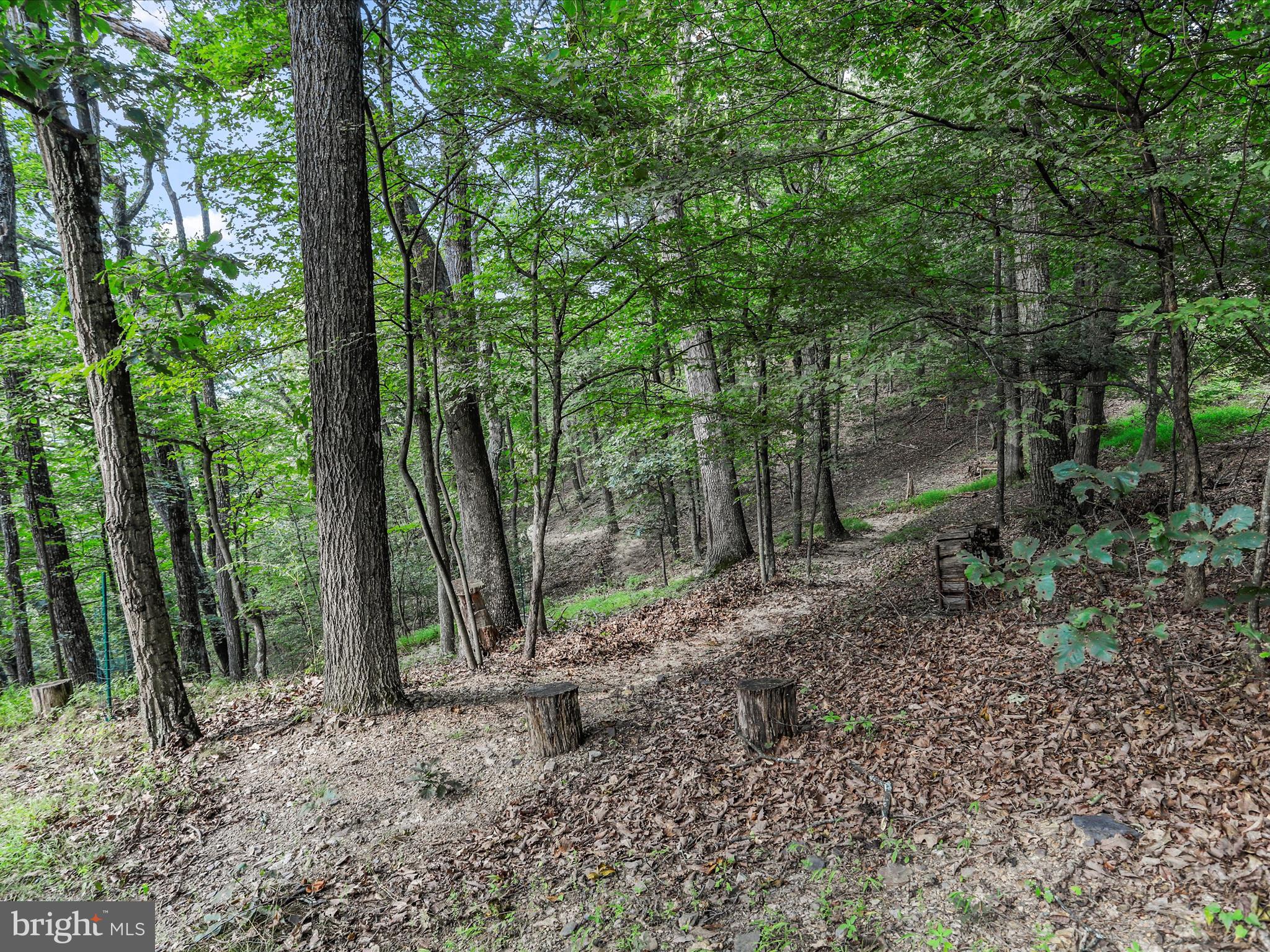 MALLARD CREEK - Residential