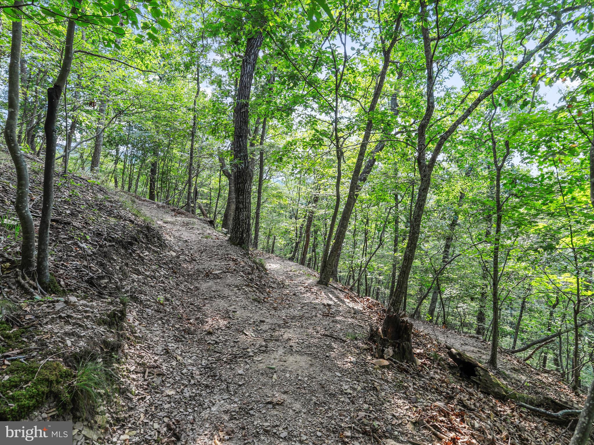 MALLARD CREEK - Residential