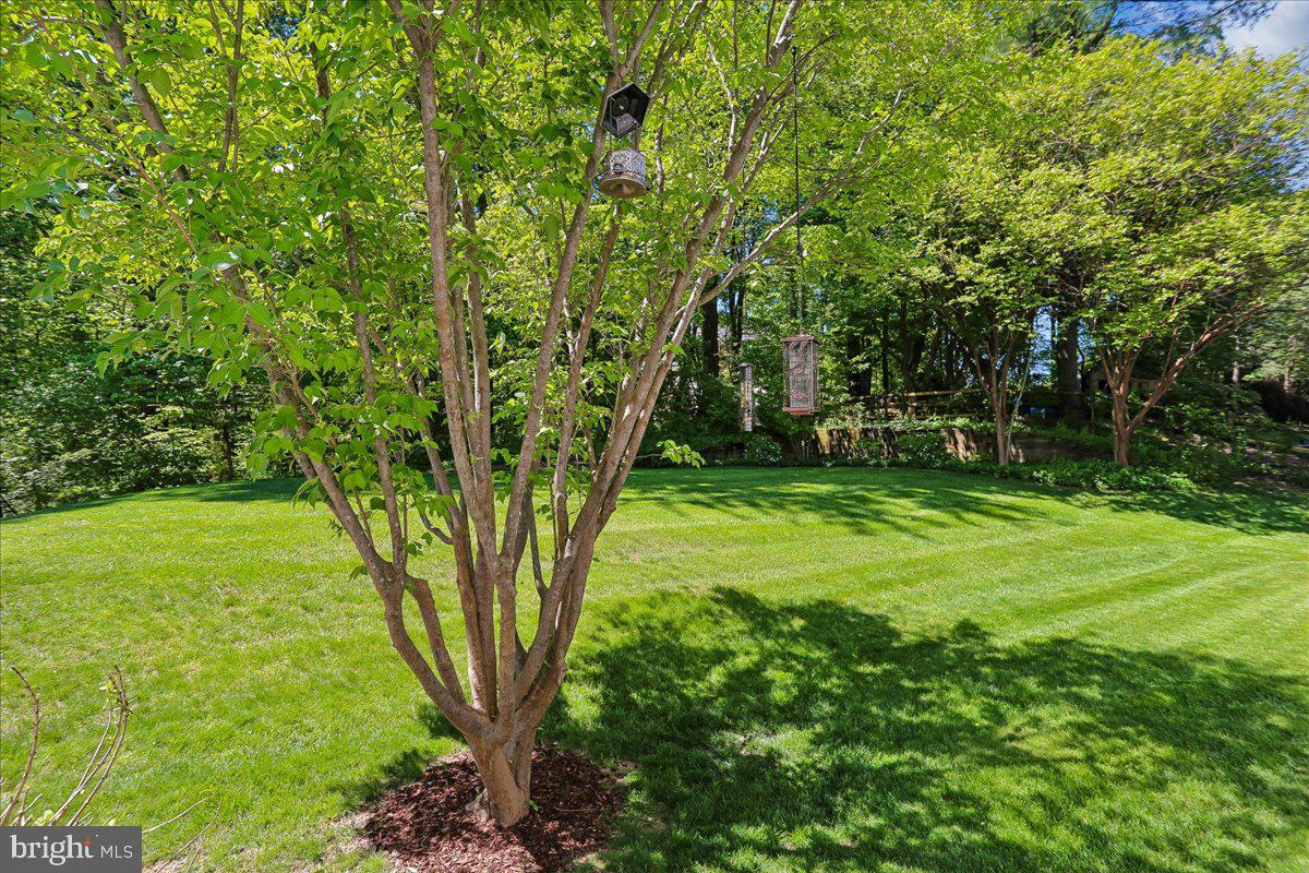 KINGS VALLEY MANOR - Residential
