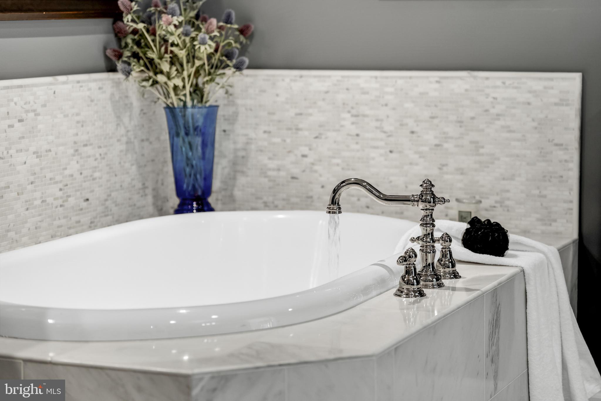 CHAIN BRIDGE FOREST - Residential