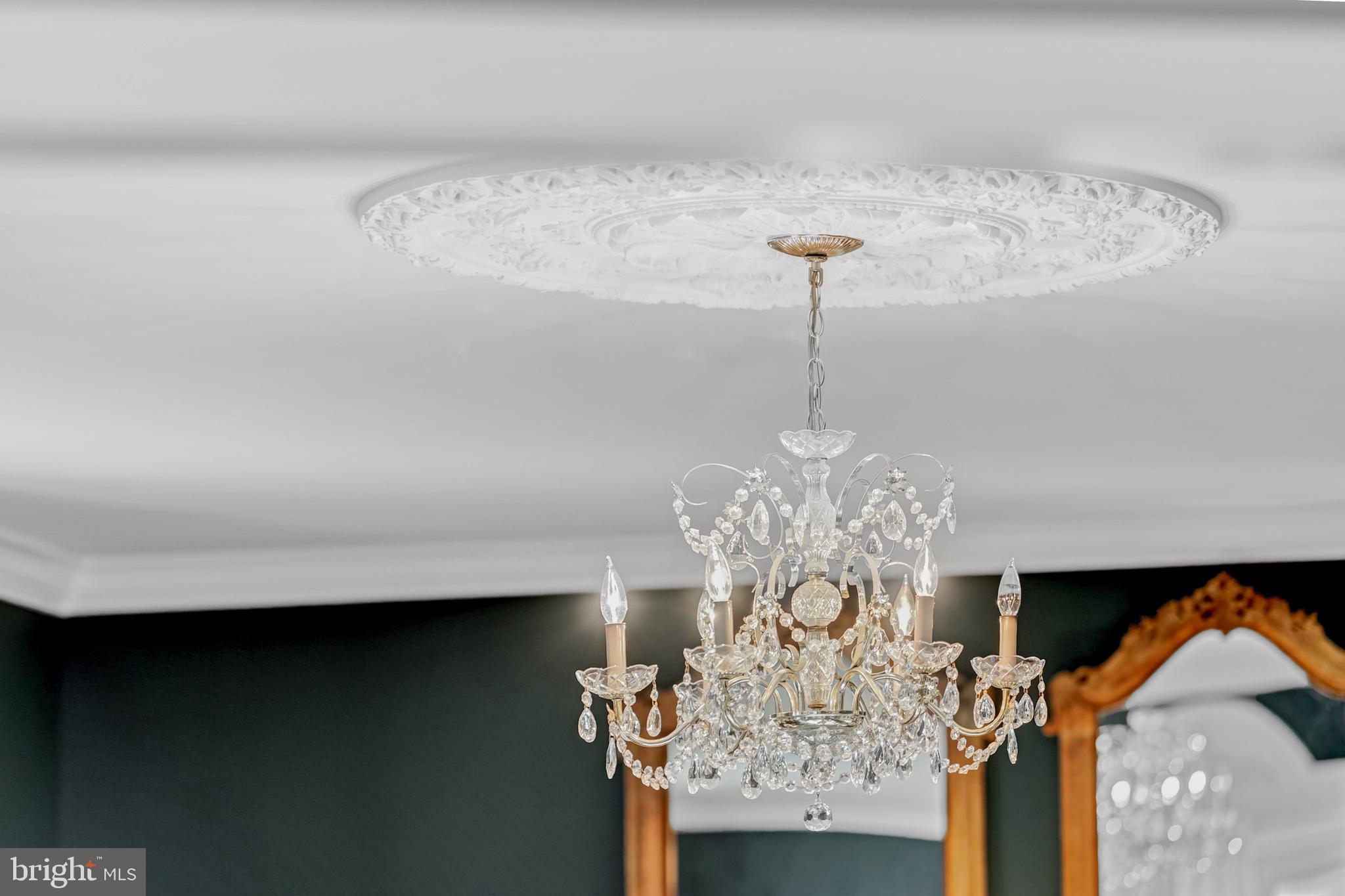 CHAIN BRIDGE FOREST - Residential