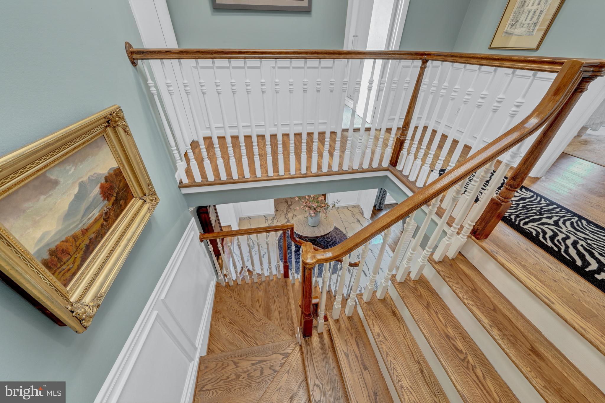 CHAIN BRIDGE FOREST - Residential