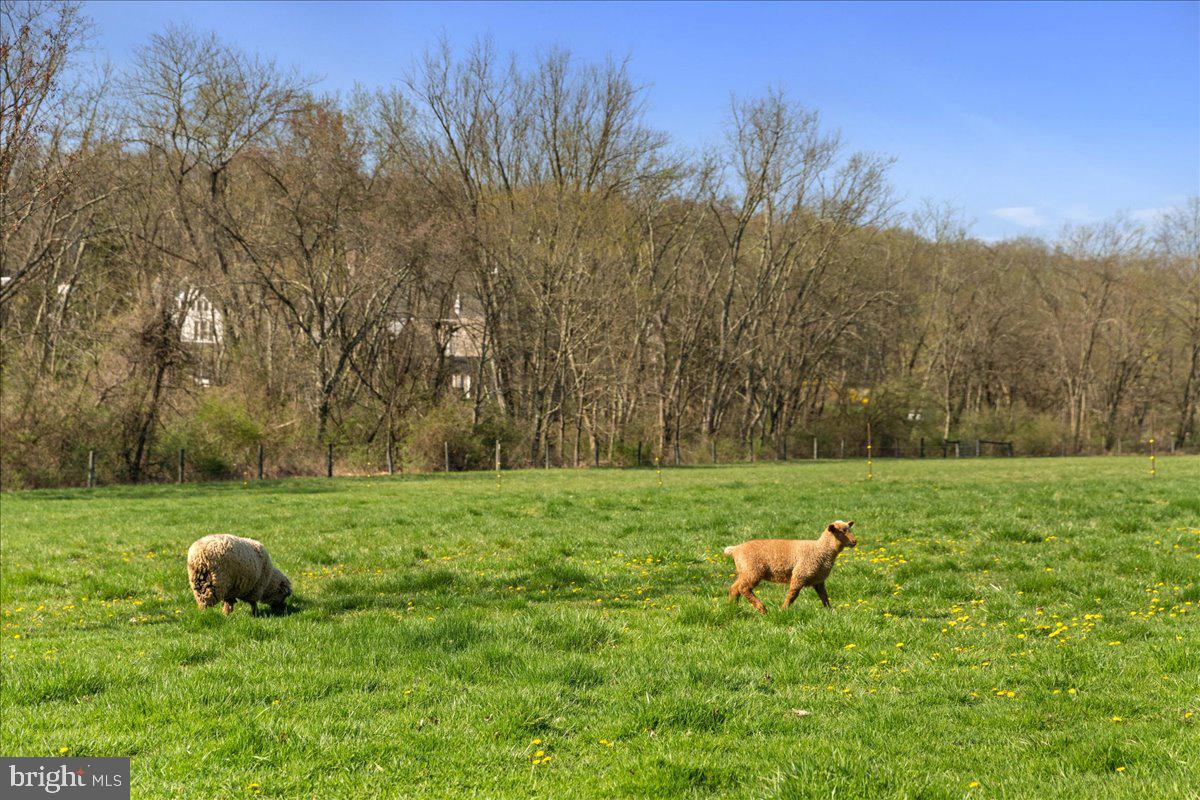 NONE AVAILABLE - Land