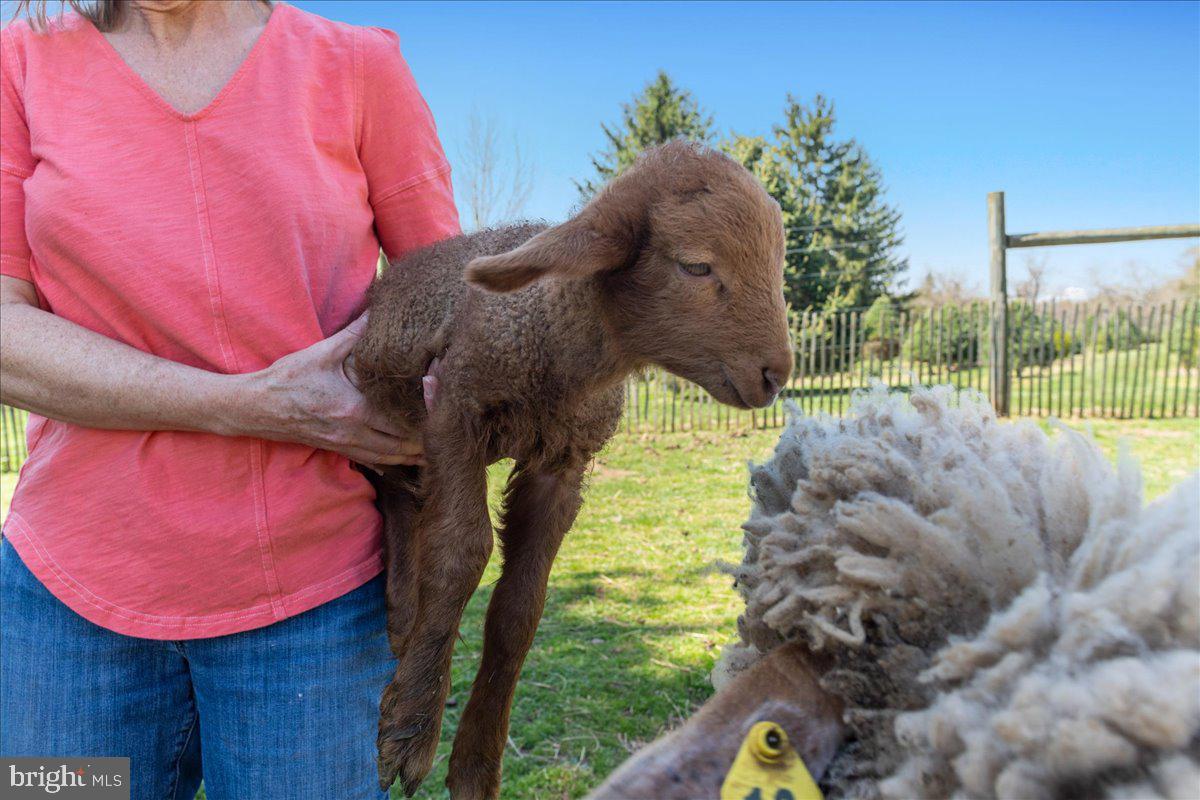 NONE AVAILABLE - Land