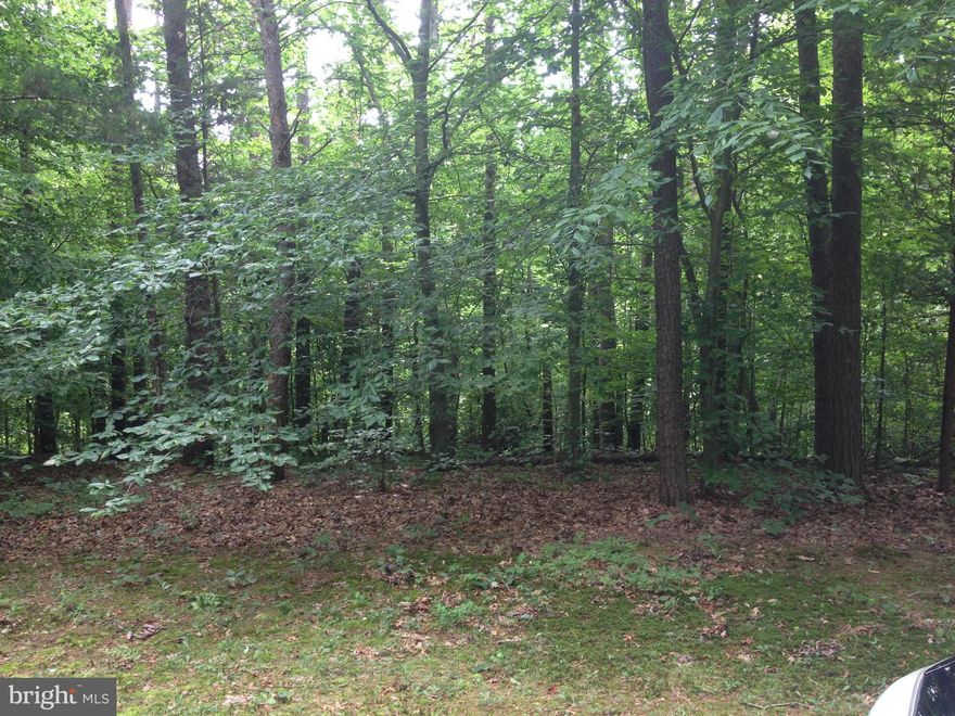 BEAUTIFUL WOODED BUILDING LOT. PRIVATE 3 ACRE LOT READY TO BUILD THE HOME OF YOUR DREAMS.  WE CAN GIVE YOU A TOTAL BUILDING PACKAGE CALL FOR DEATAILS.  ANOTHER OPTION IS THE POSSIBILITY OF OWNER FINANCING.  LOTS OF OPTIONS TO CHOOSE FROM.  WE MAKE IT EASY!  COME AND TAKE A LOOK, YOU'LL BE HAPPY YOU DID.