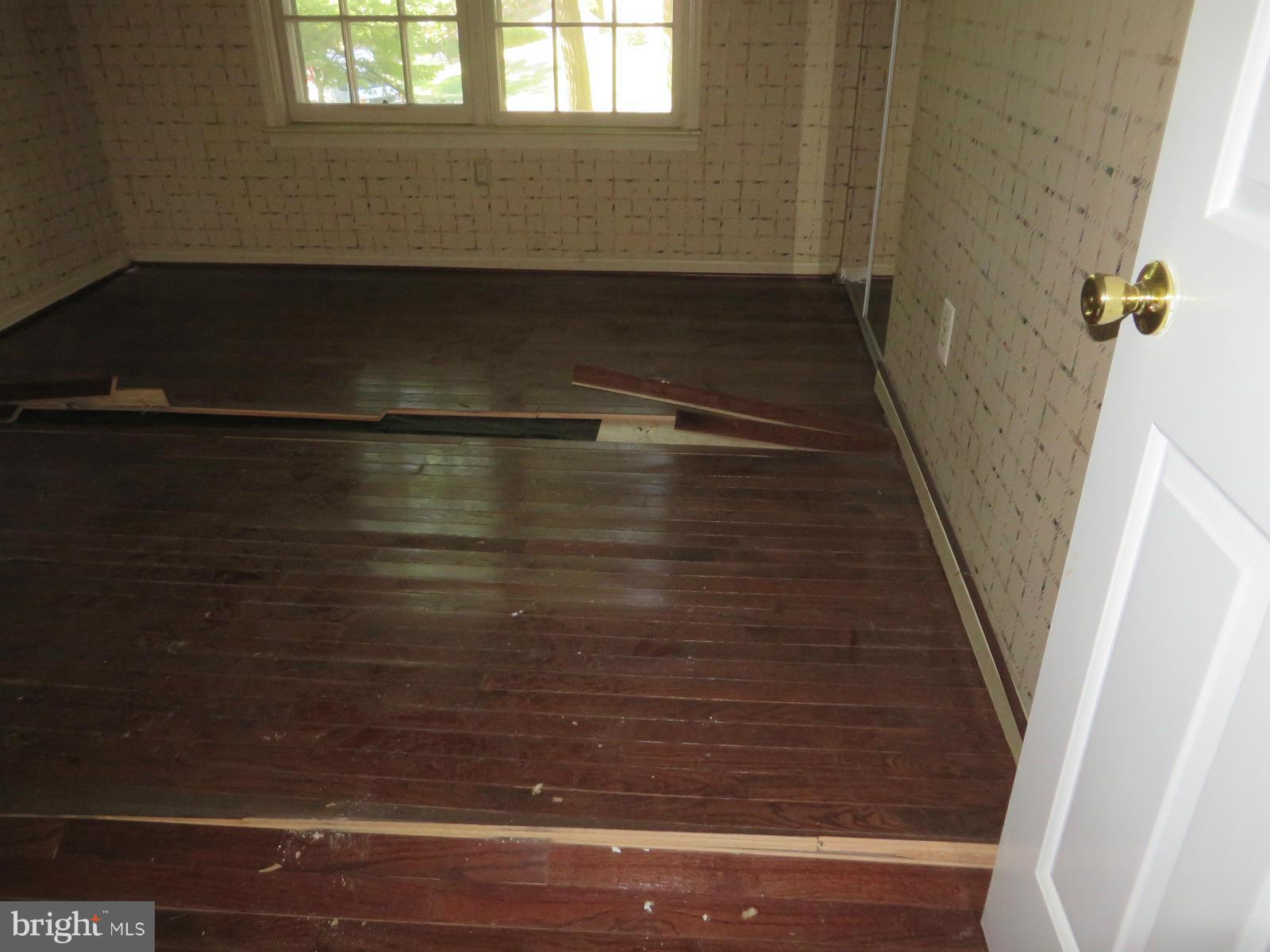 WOLF TRAP WOODS - Residential