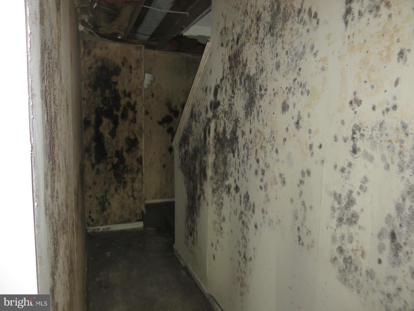 WOLF TRAP WOODS - Residential