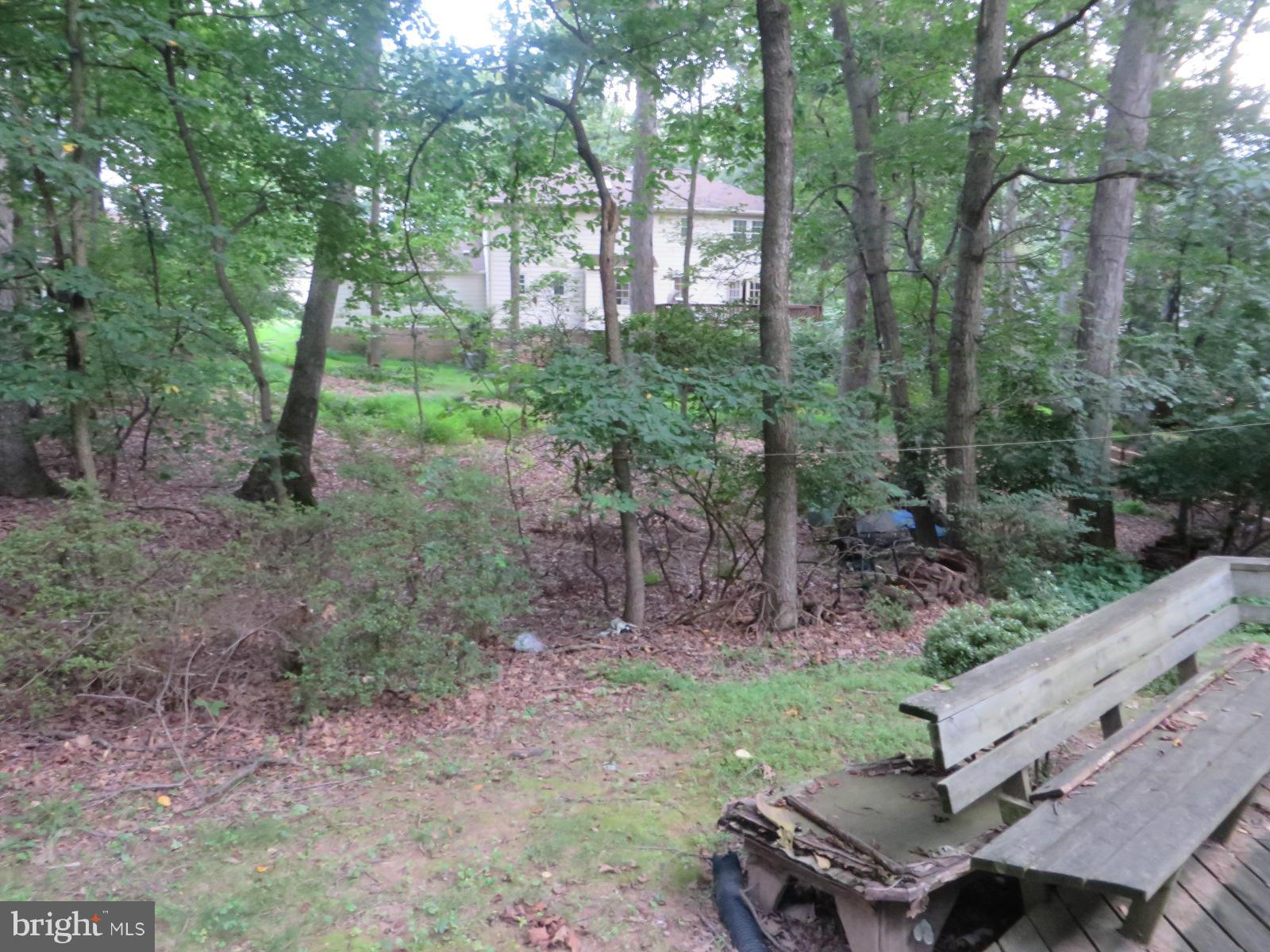 WOLF TRAP WOODS - Residential