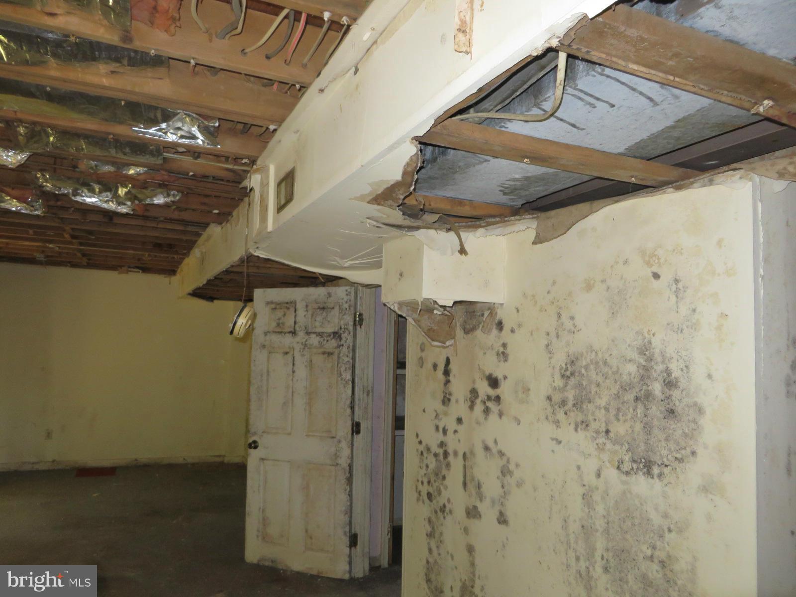 WOLF TRAP WOODS - Residential