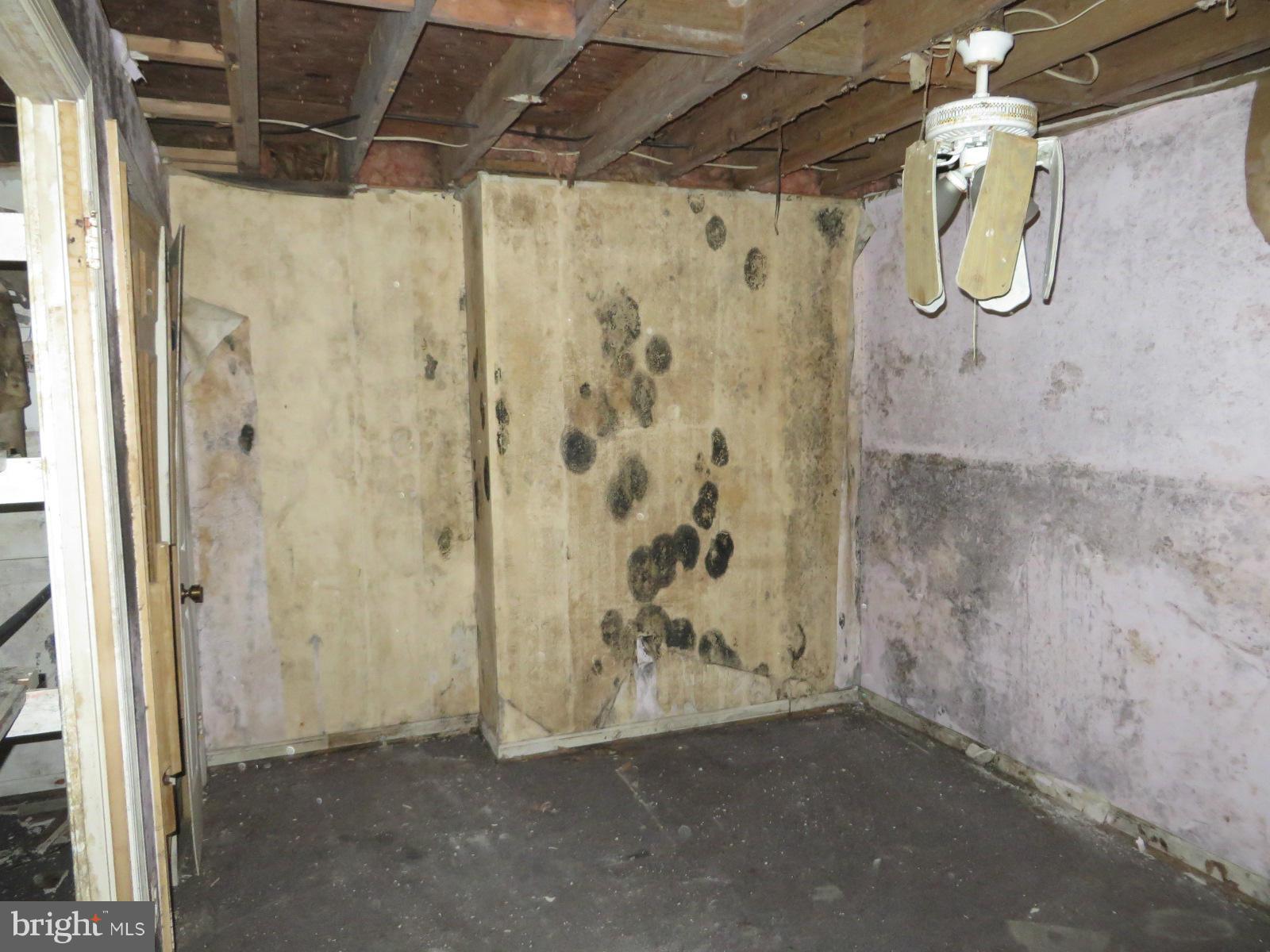 WOLF TRAP WOODS - Residential